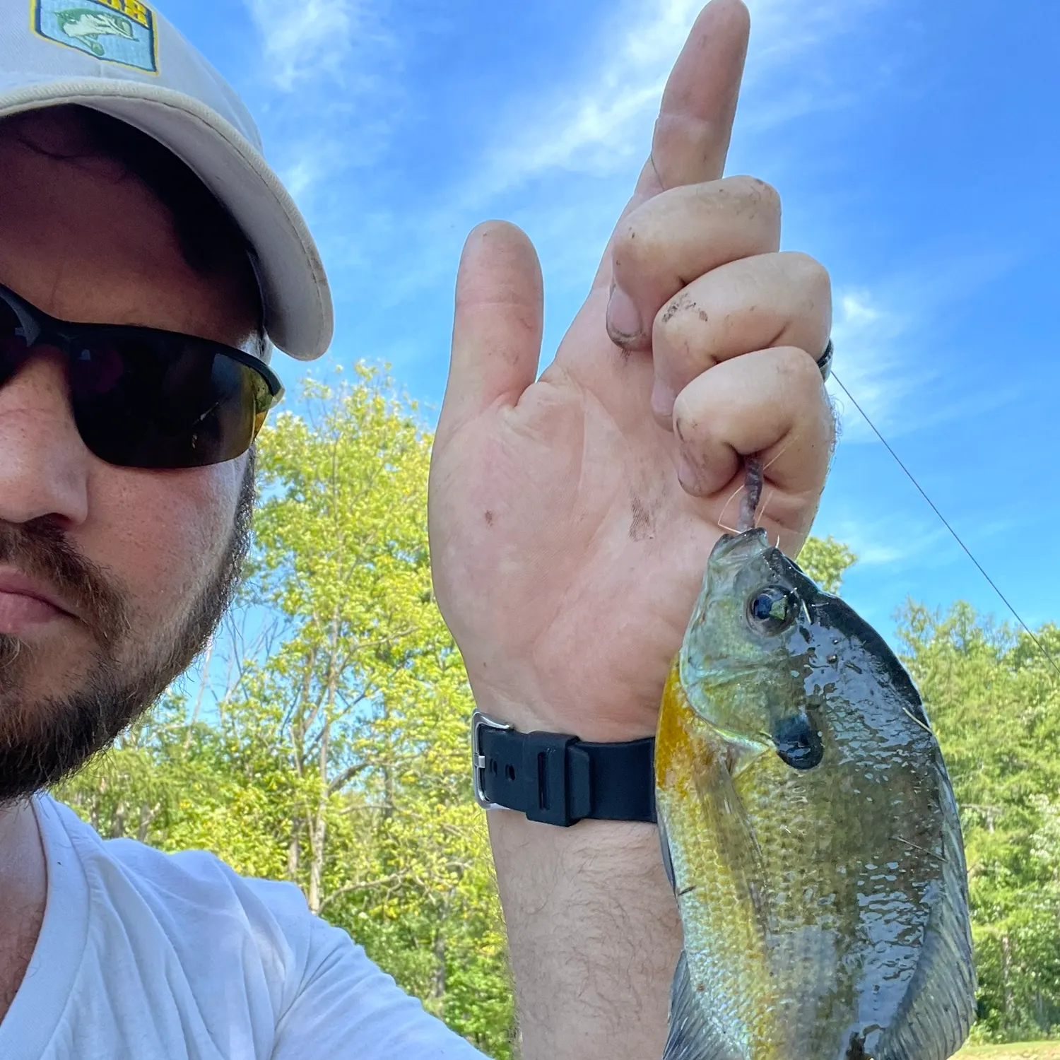 Bluegill caught on Fishbrain