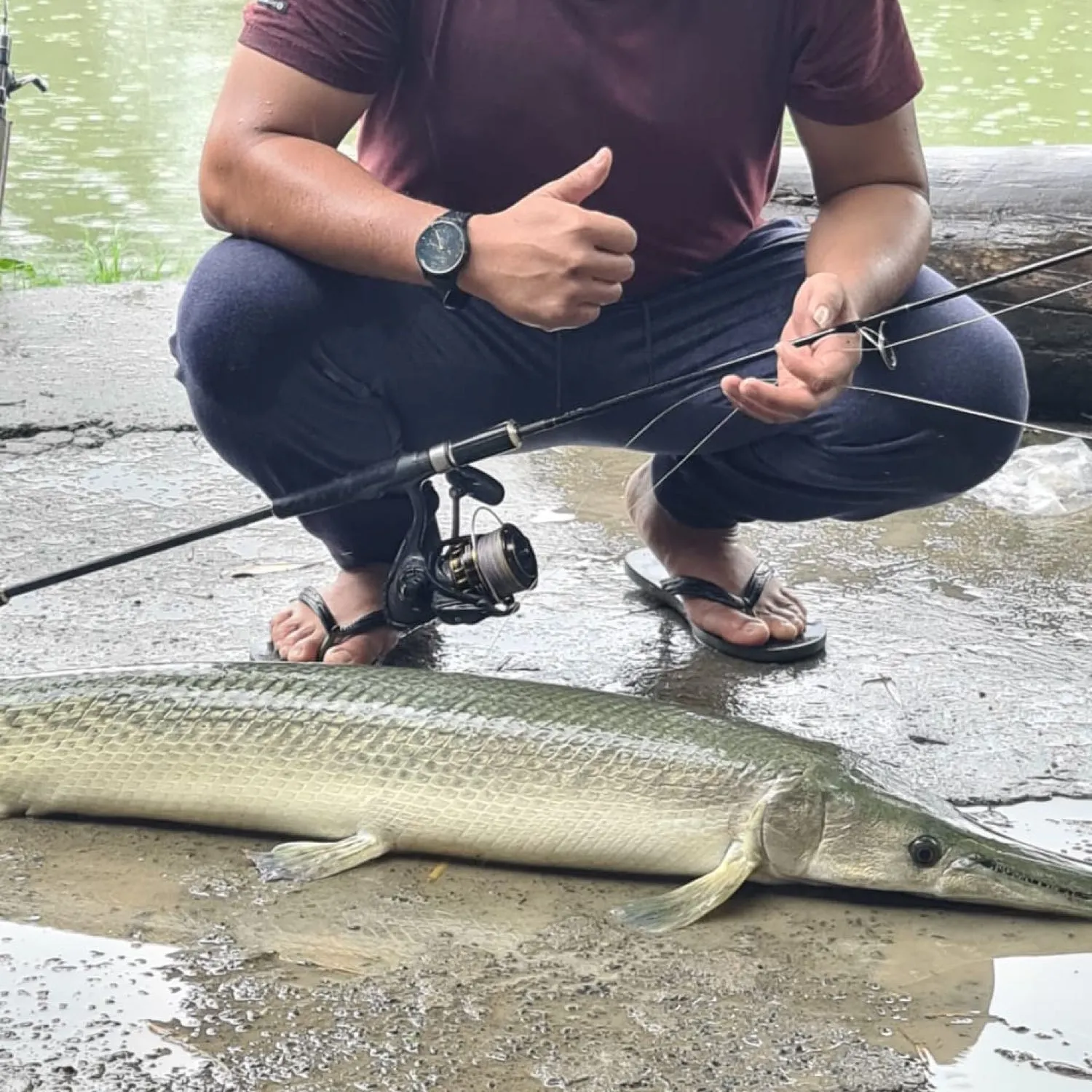 recently logged catches