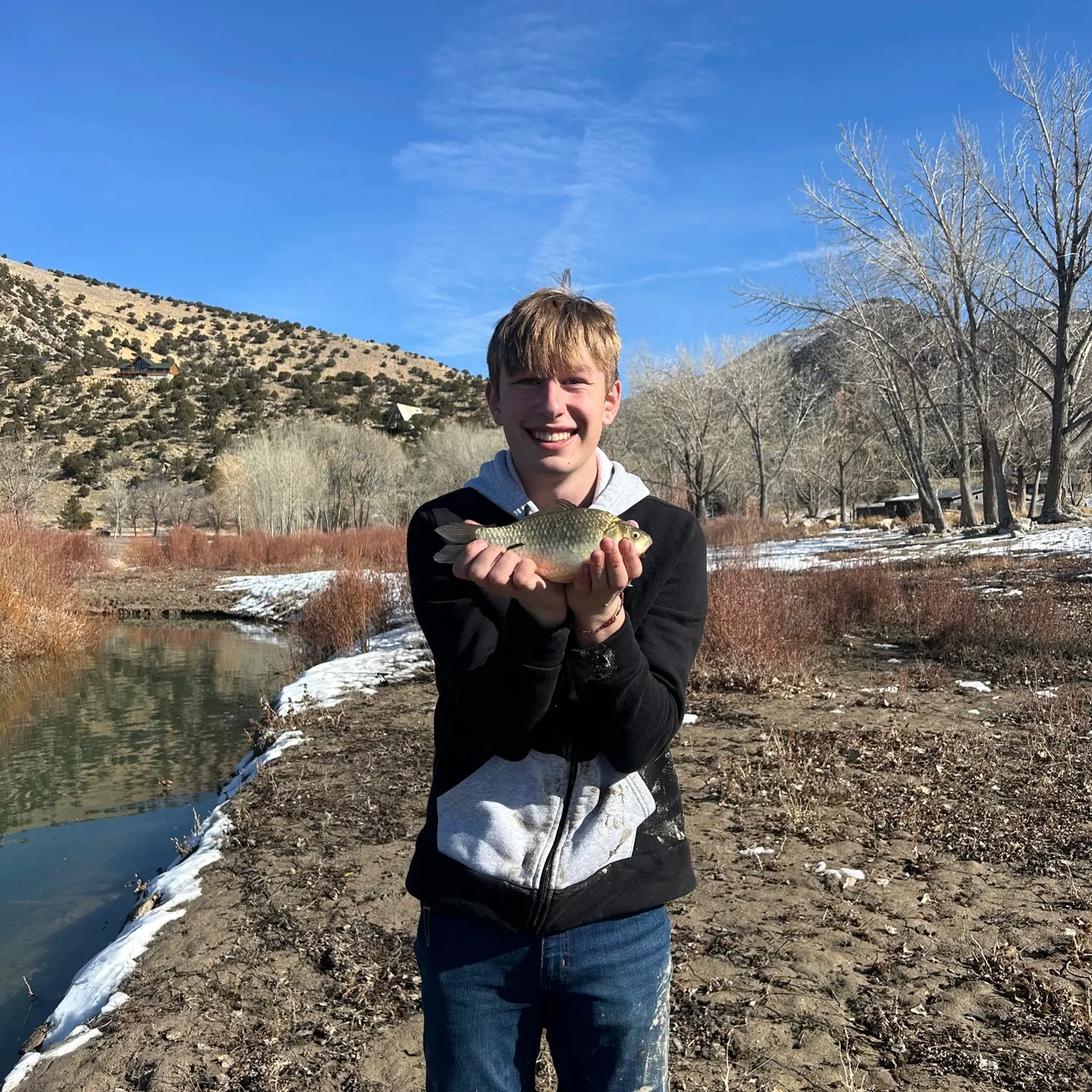 The most recent Goldfish catches on Fishbrain