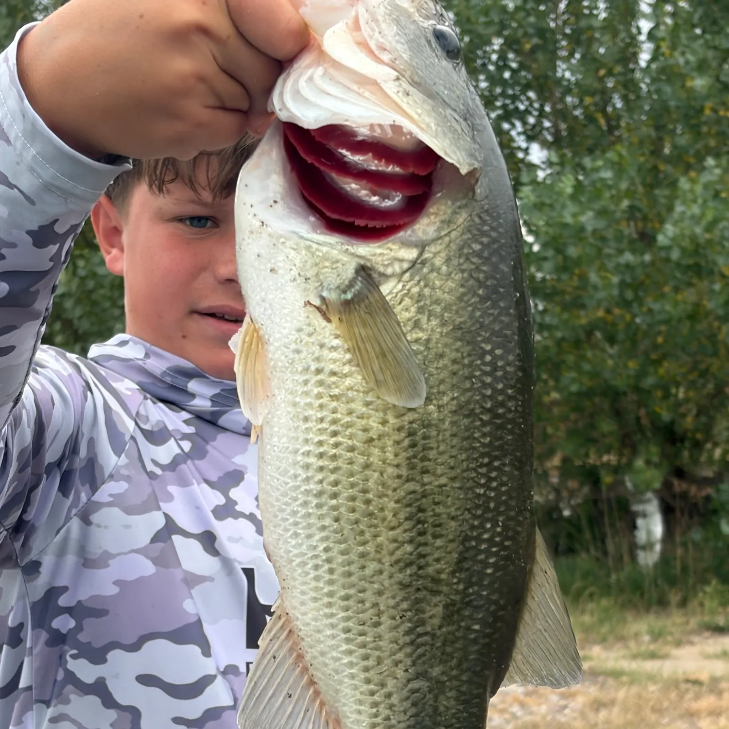 Fish caught on Fishbrain