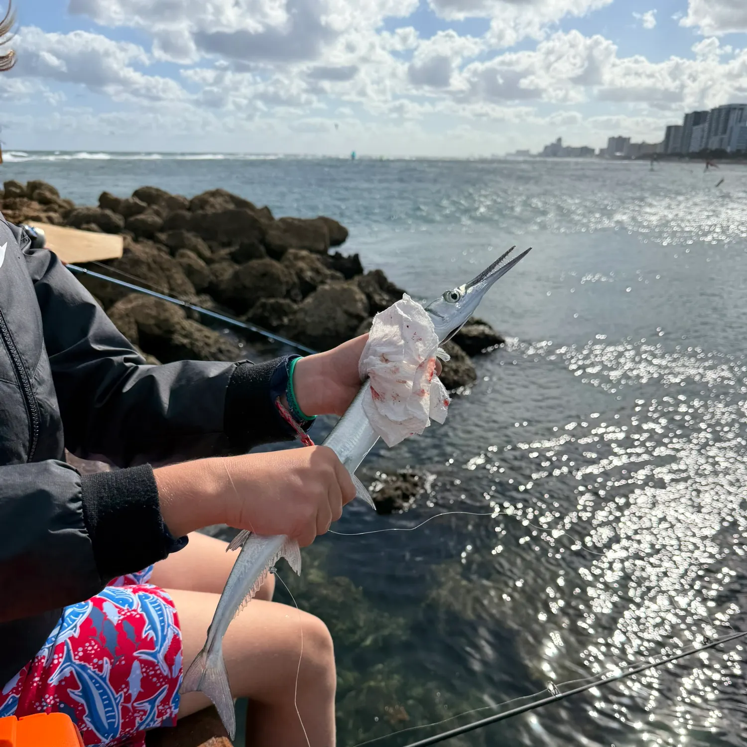 The most recent Hound needlefish catches on Fishbrain