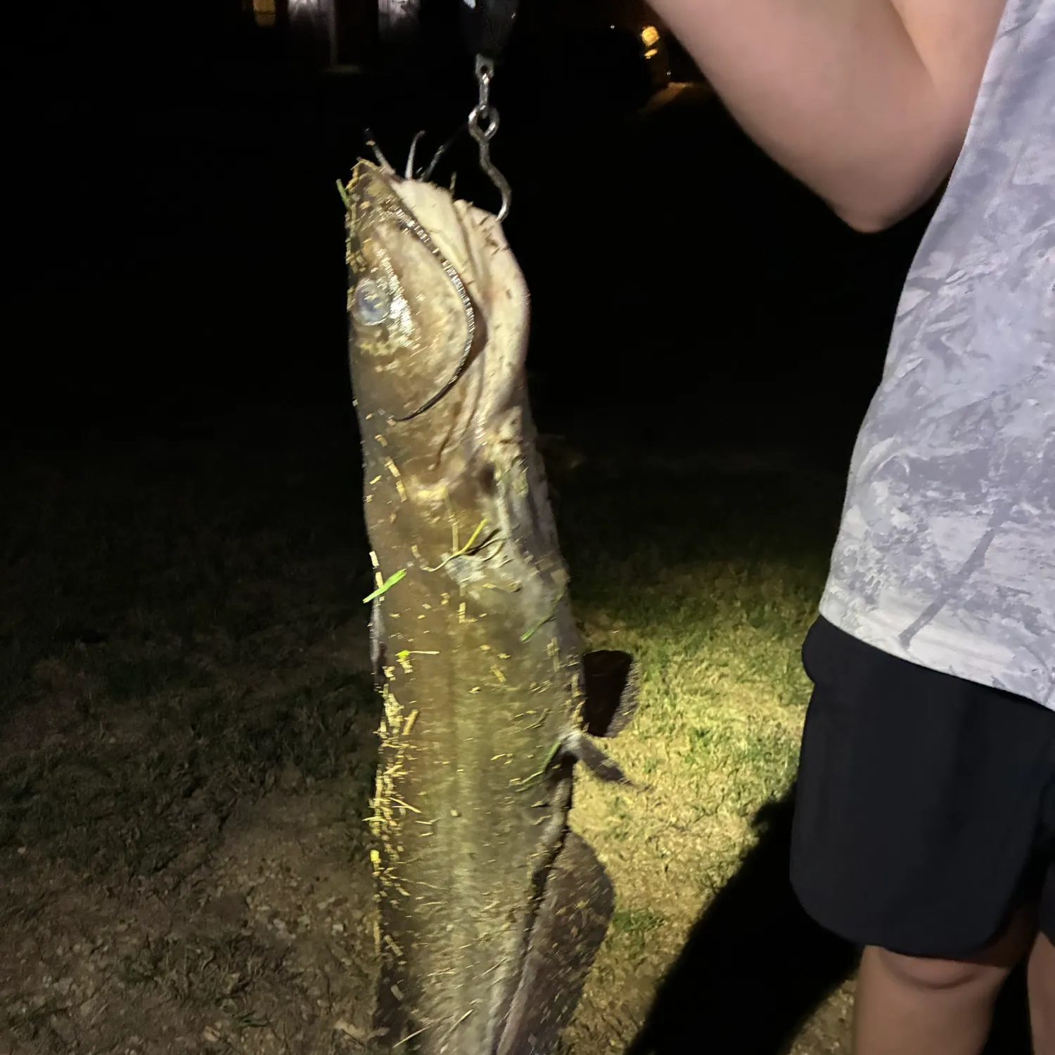 Fish caught on Fishbrain