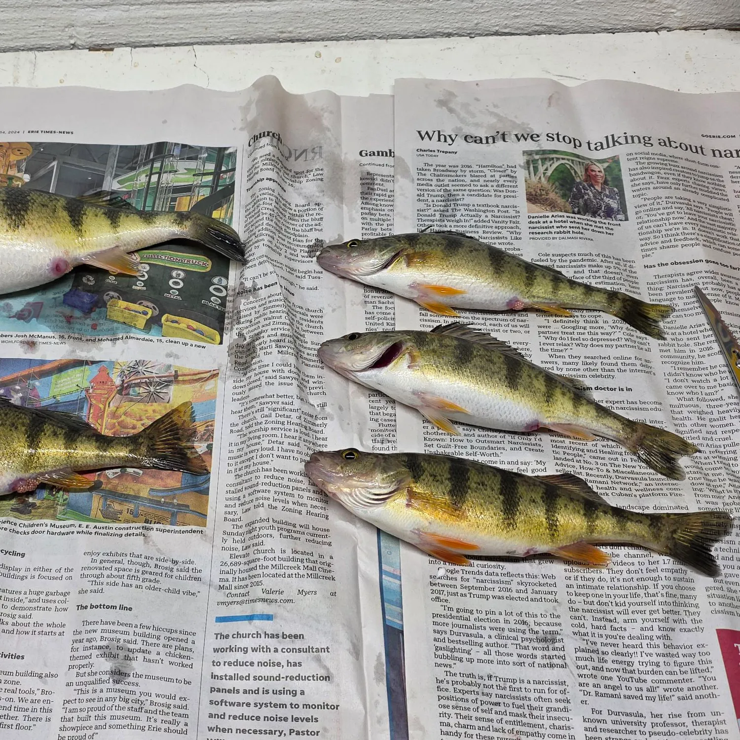 recently logged catches