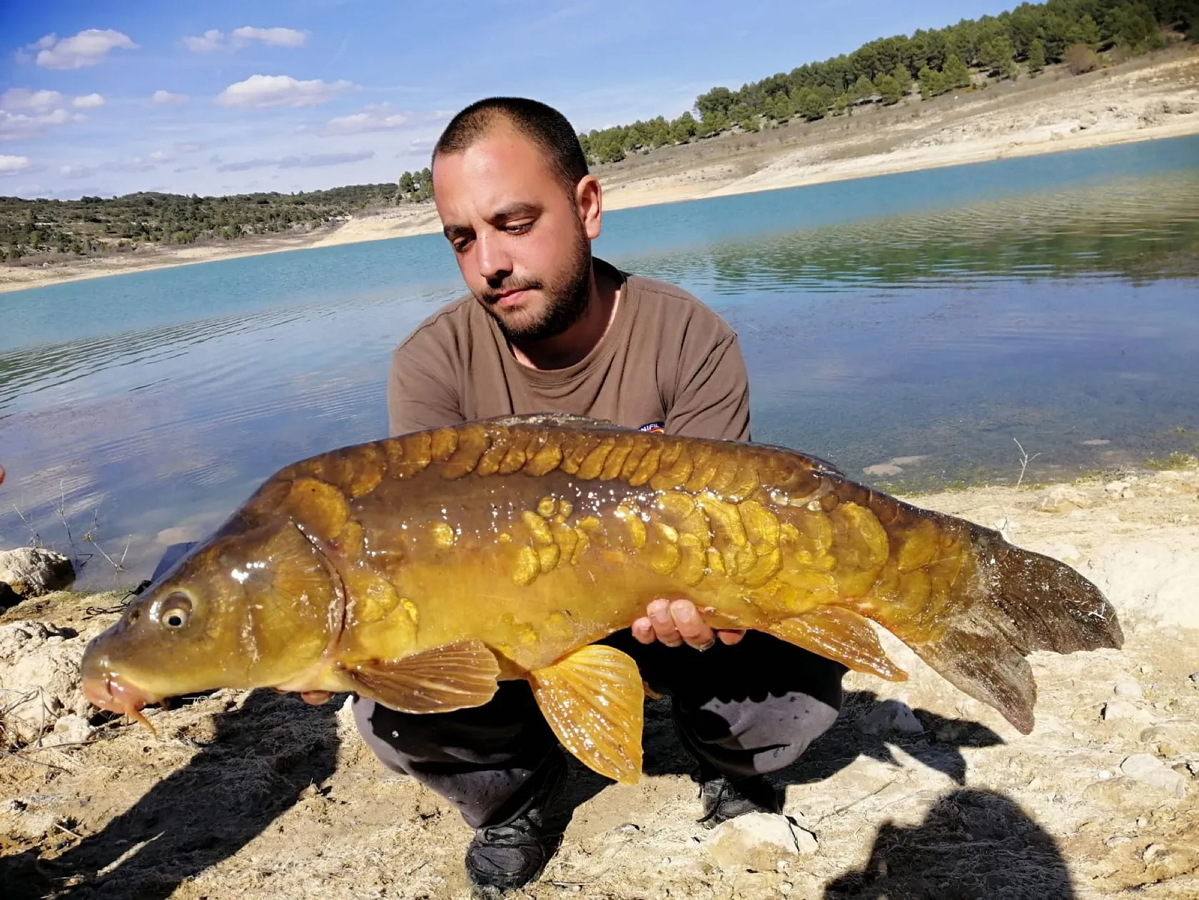 Post image from aperez8411