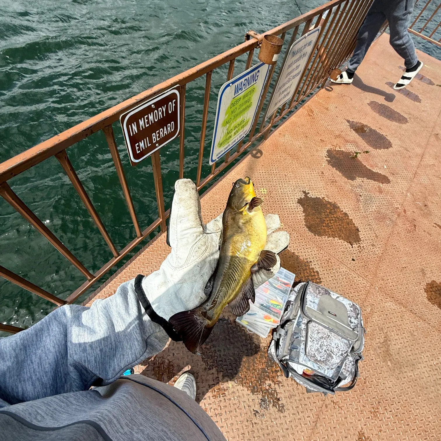 catch