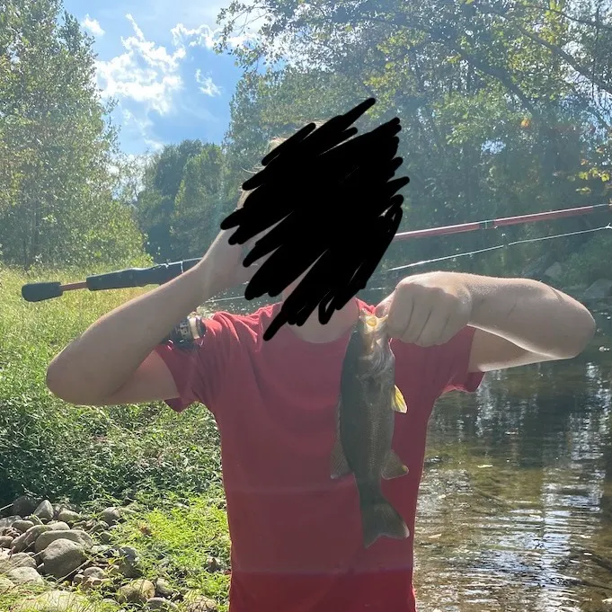 Smallmouth bass caught on Fishbrain