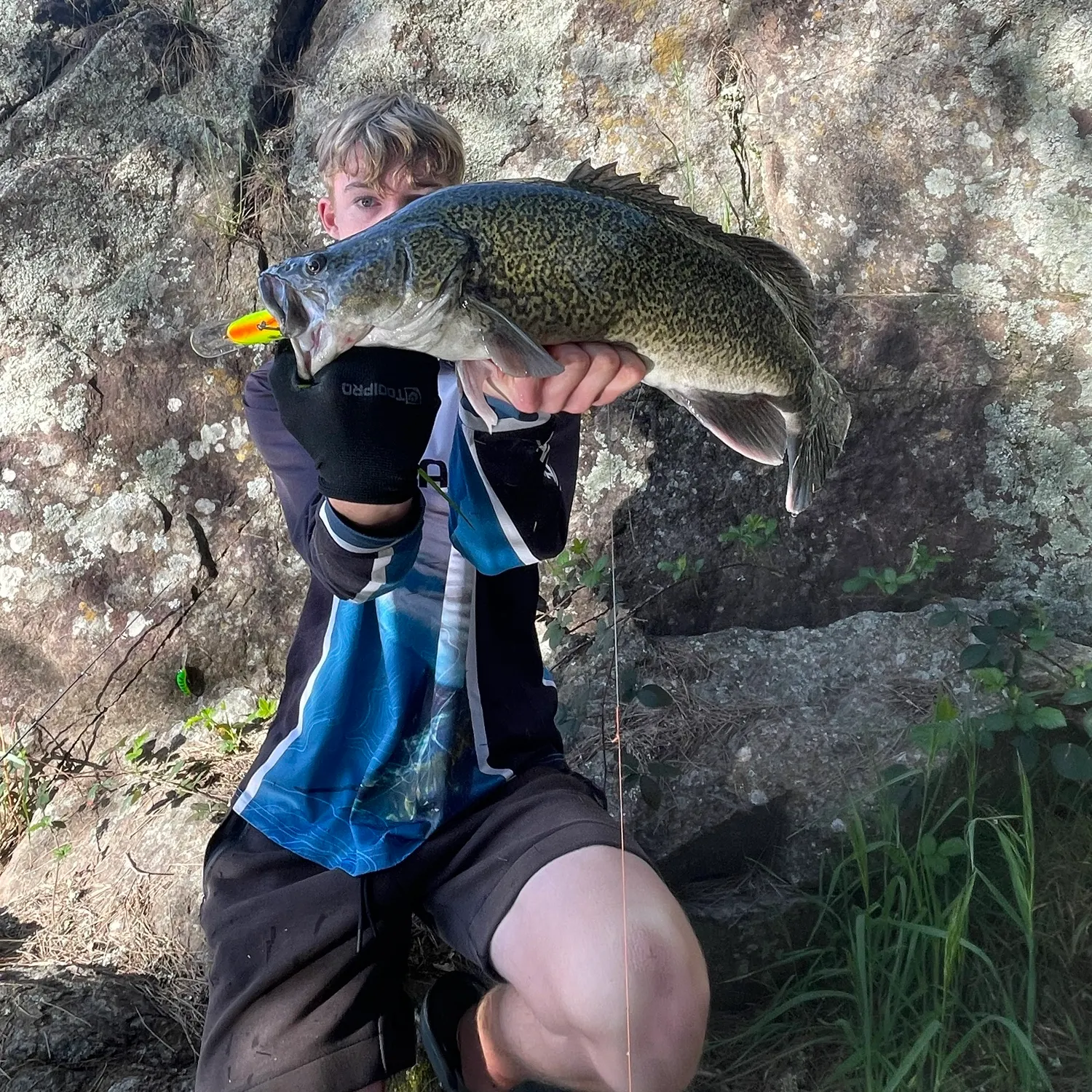 The most recent Murray cod catches on Fishbrain