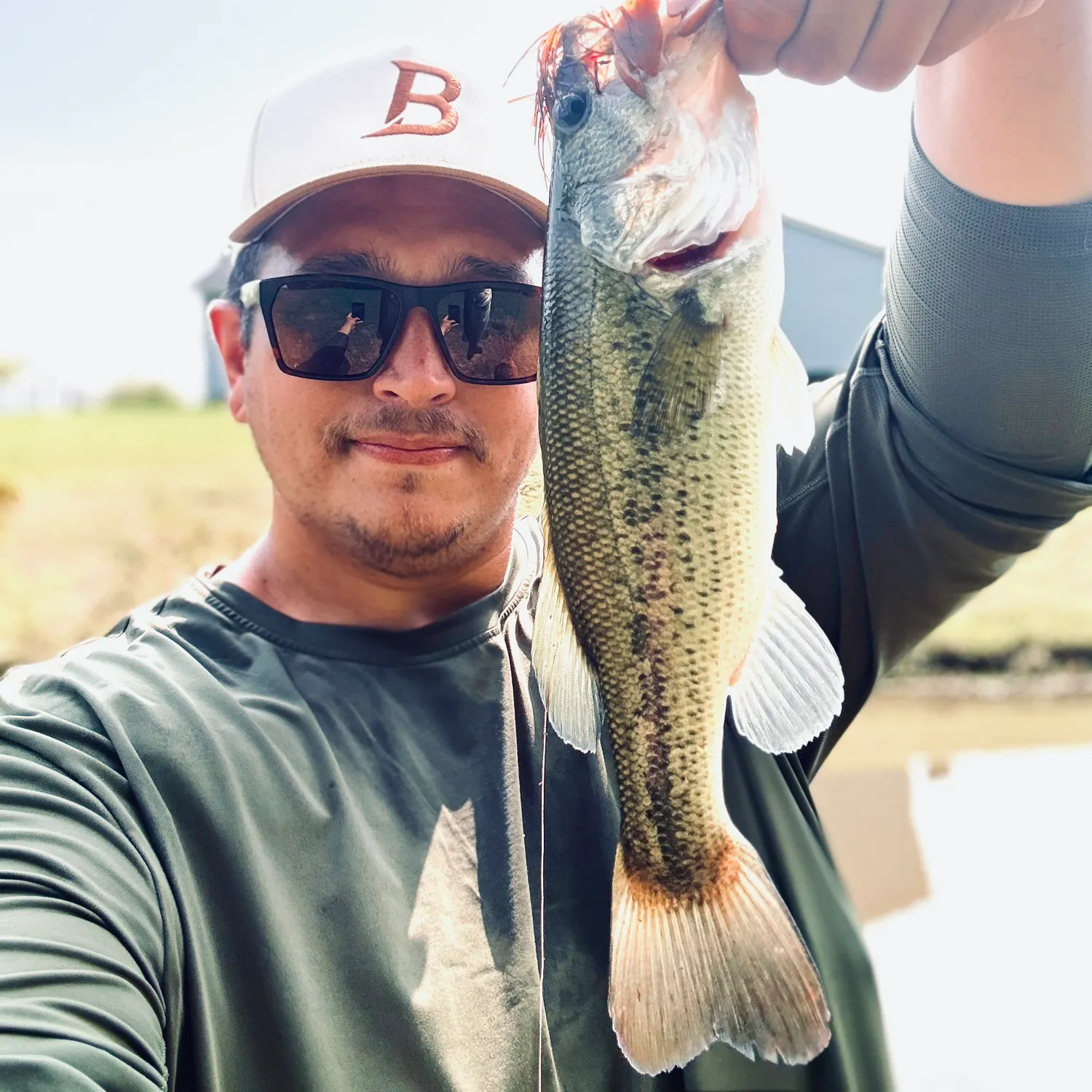 Largemouth bass caught on Fishbrain