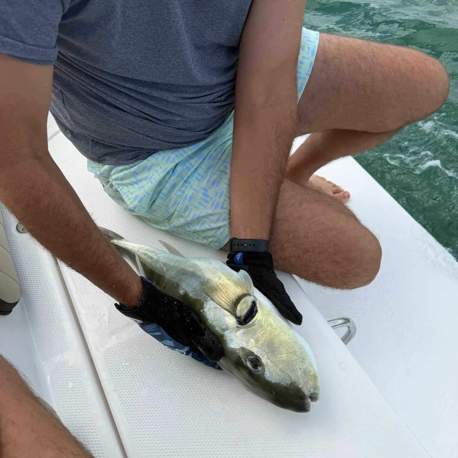 The most recent Smooth puffer catches on Fishbrain