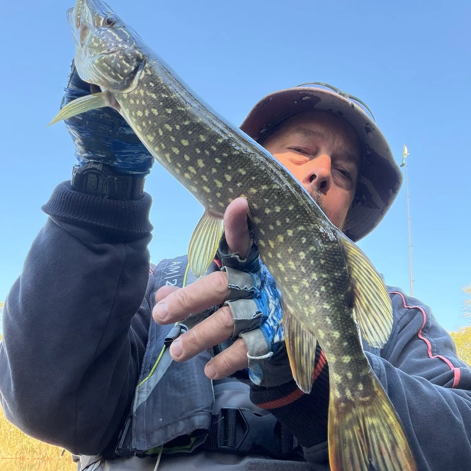 Northern pike caught on Fishbrain