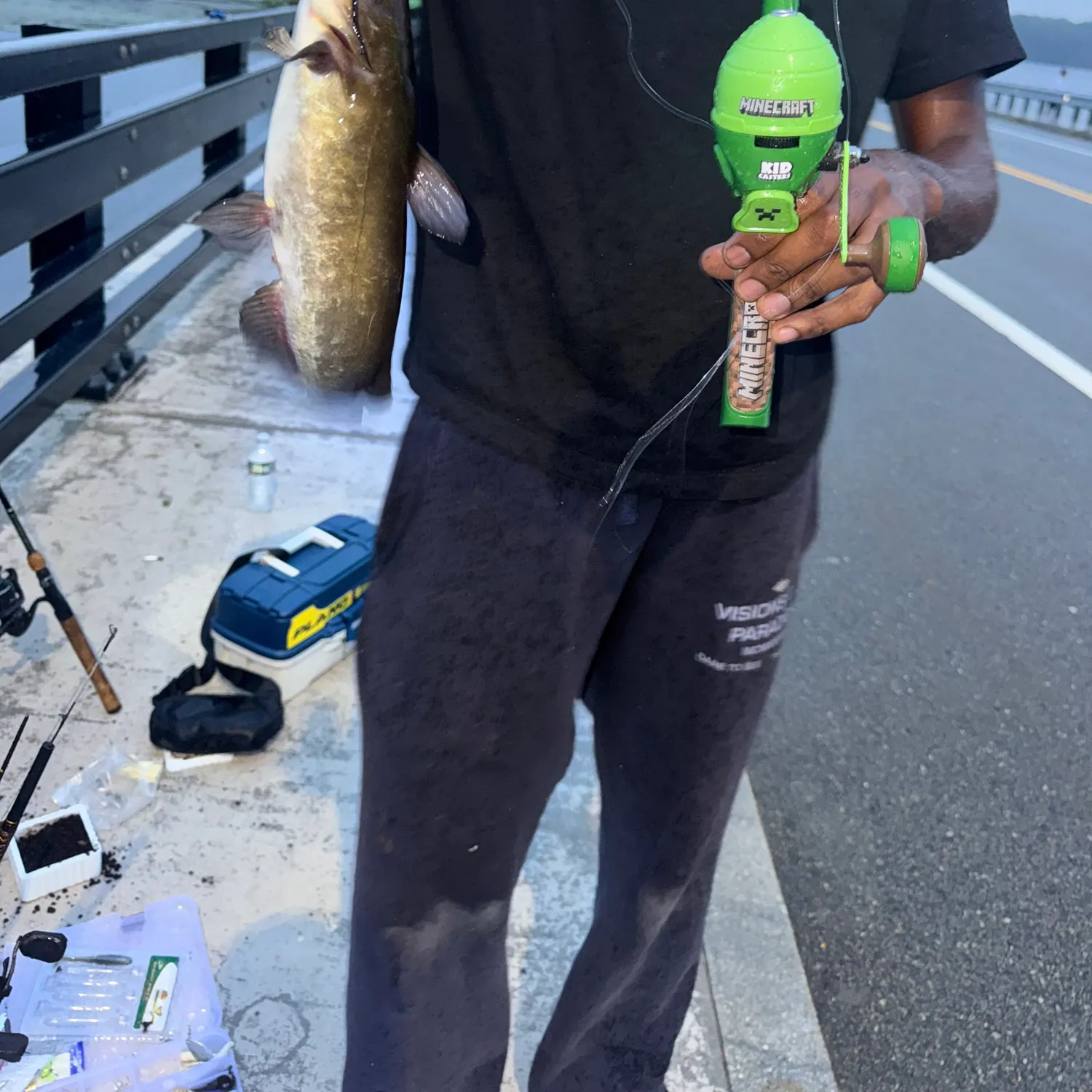 Yellow bullhead caught on Fishbrain