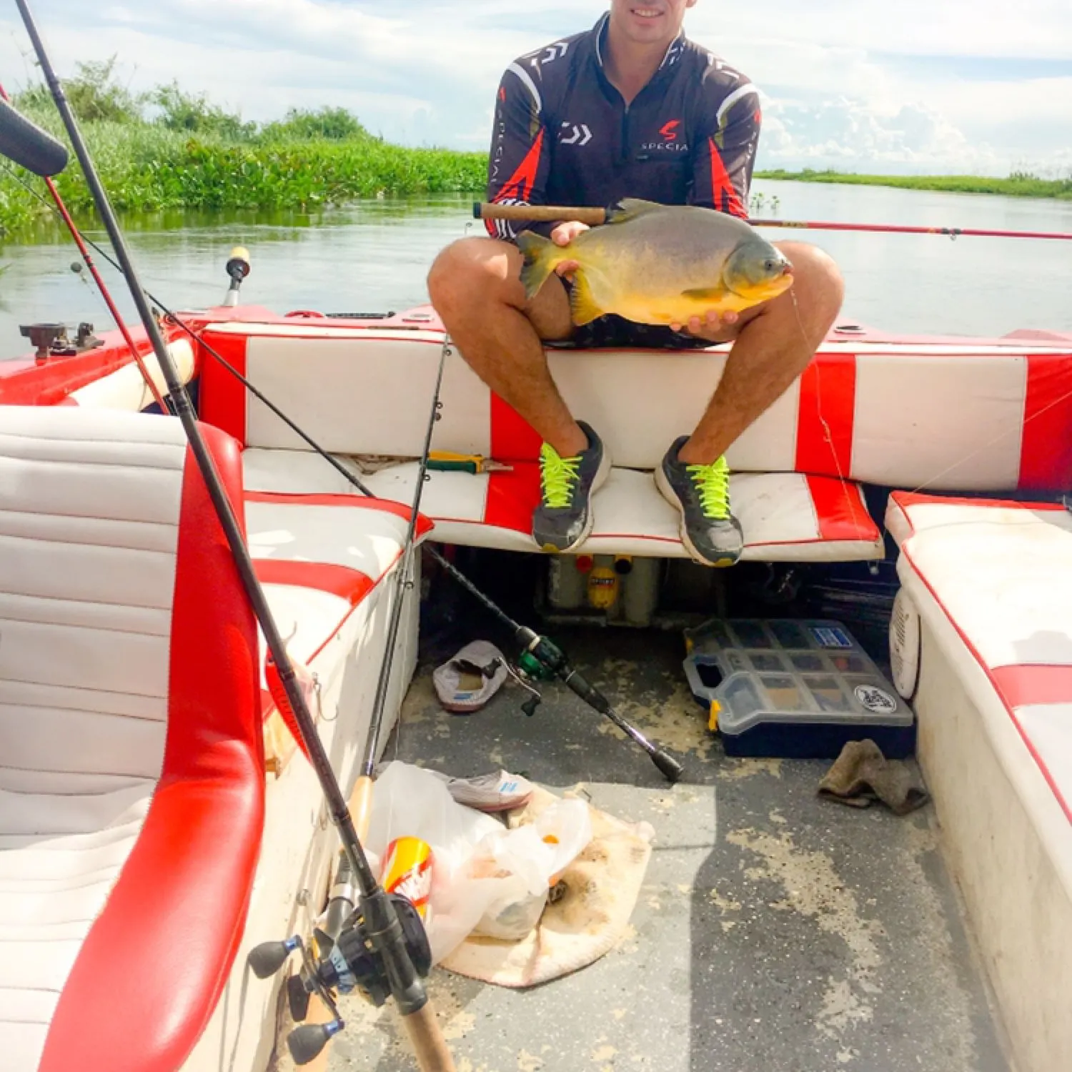 Small-scaled pacu caught on Fishbrain