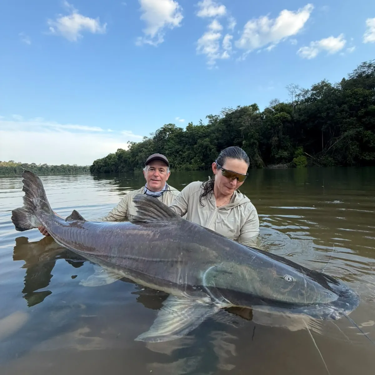 The most recent Piraíba catches on Fishbrain