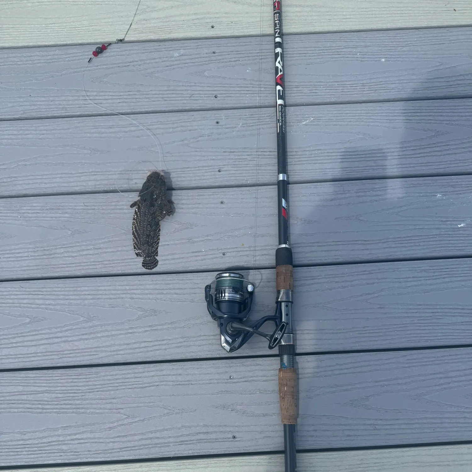 The most recent Gulf toadfish catches on Fishbrain
