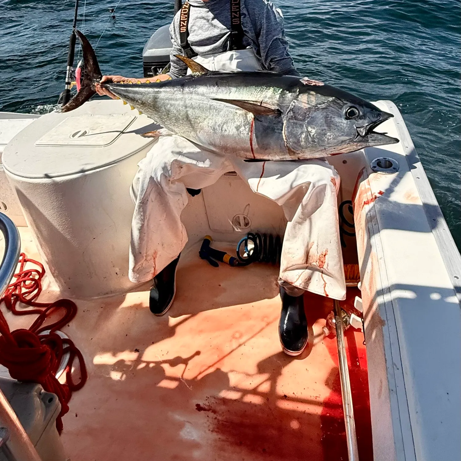 Atlantic bluefin tuna caught on Fishbrain