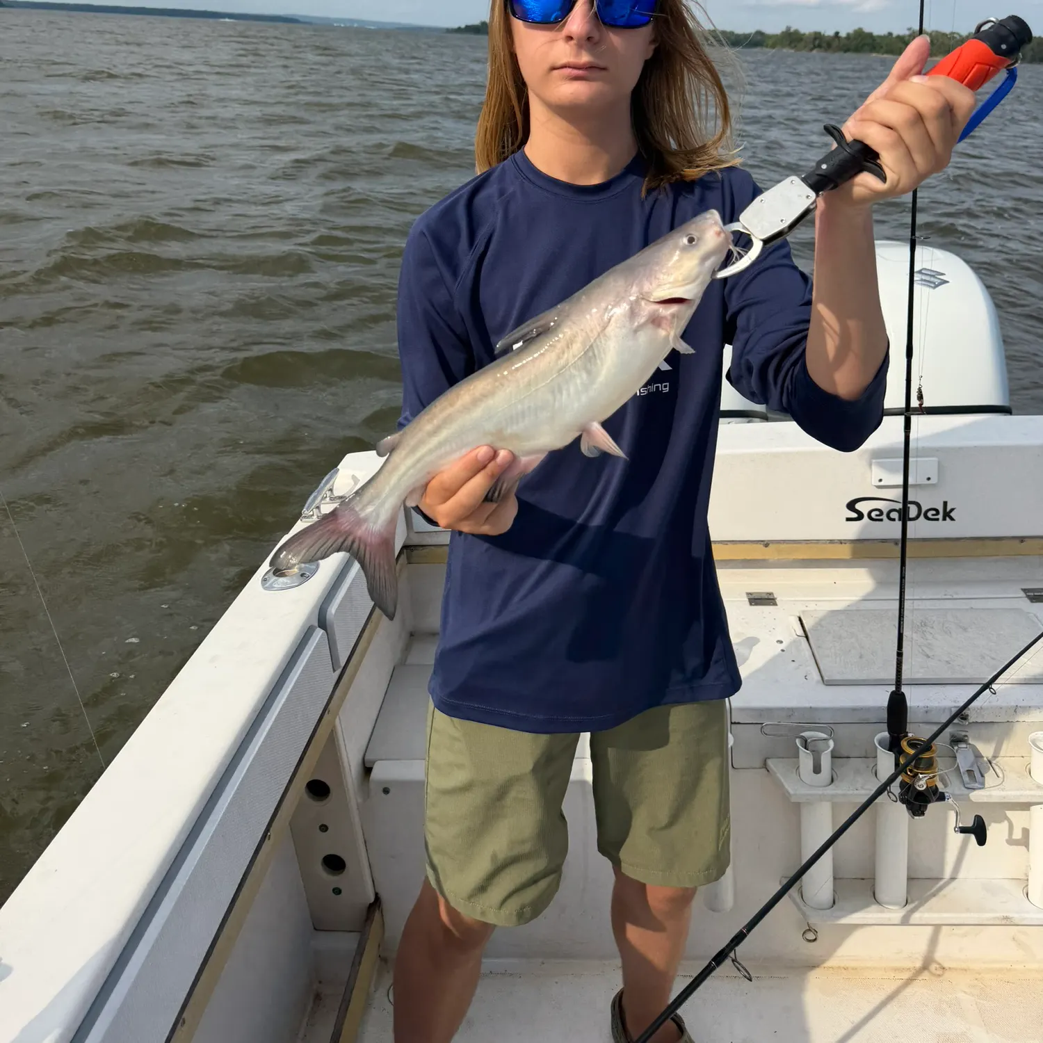 Blue catfish caught on Fishbrain