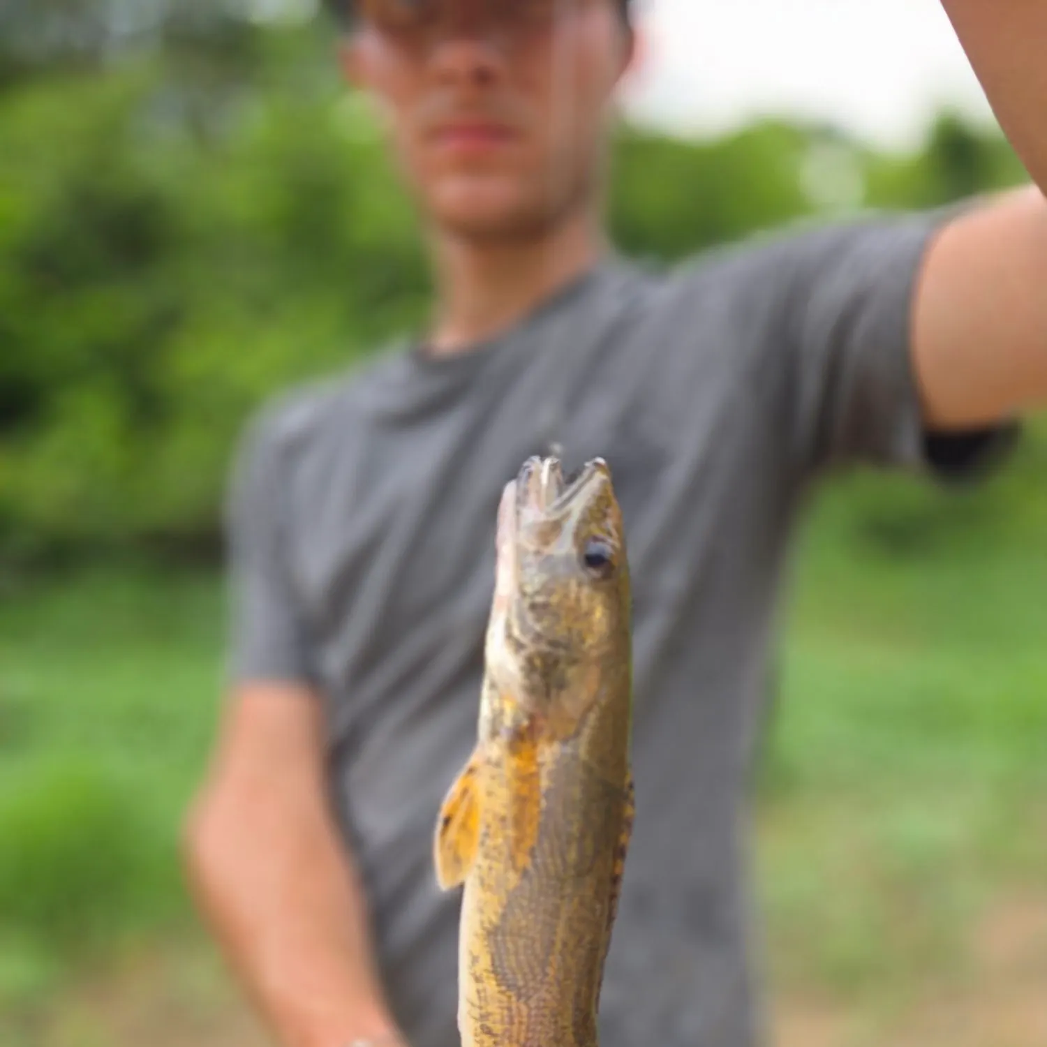 angler catch