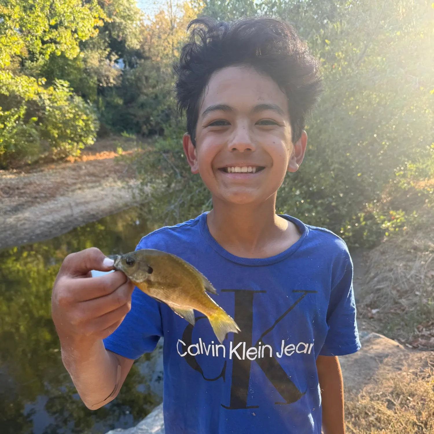 Bluegill caught on Fishbrain