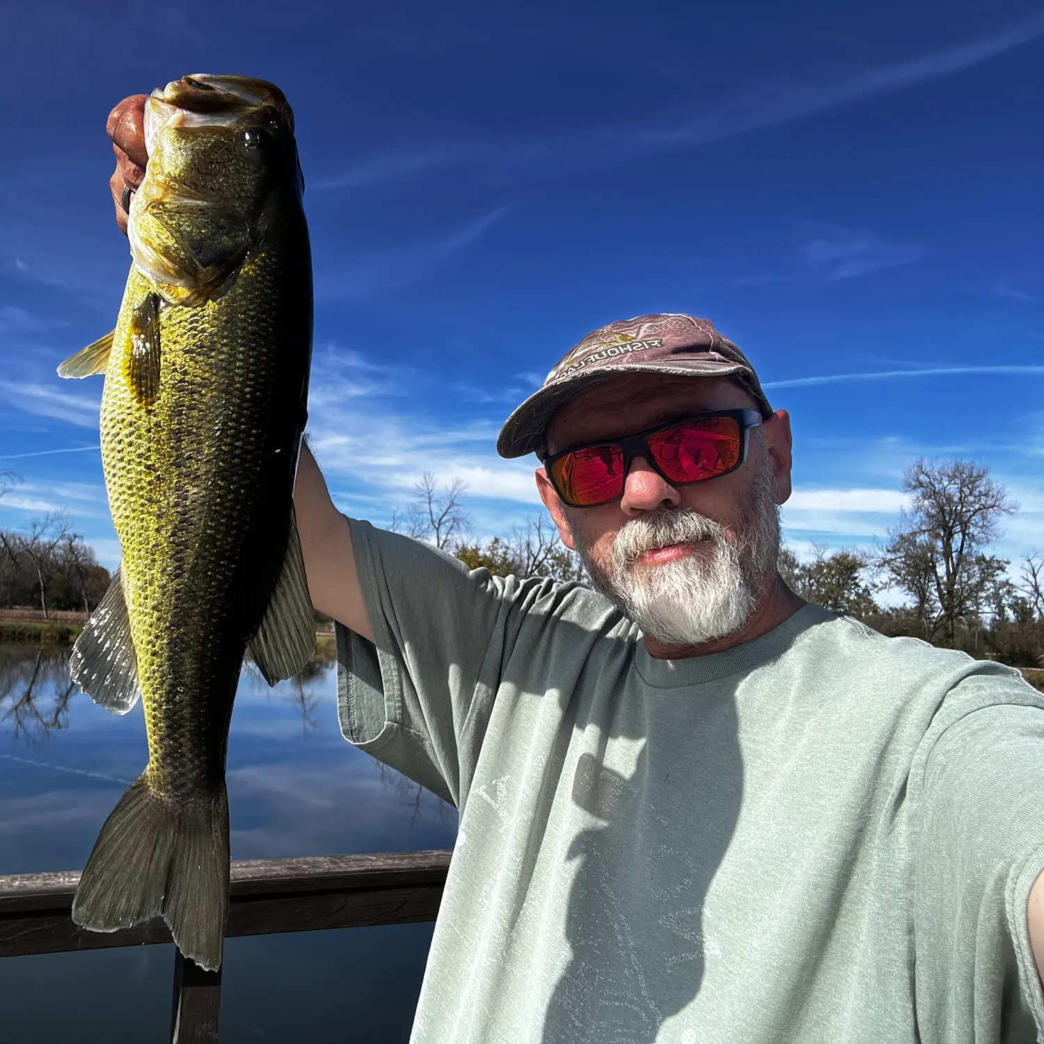 Largemouth bass caught on Fishbrain
