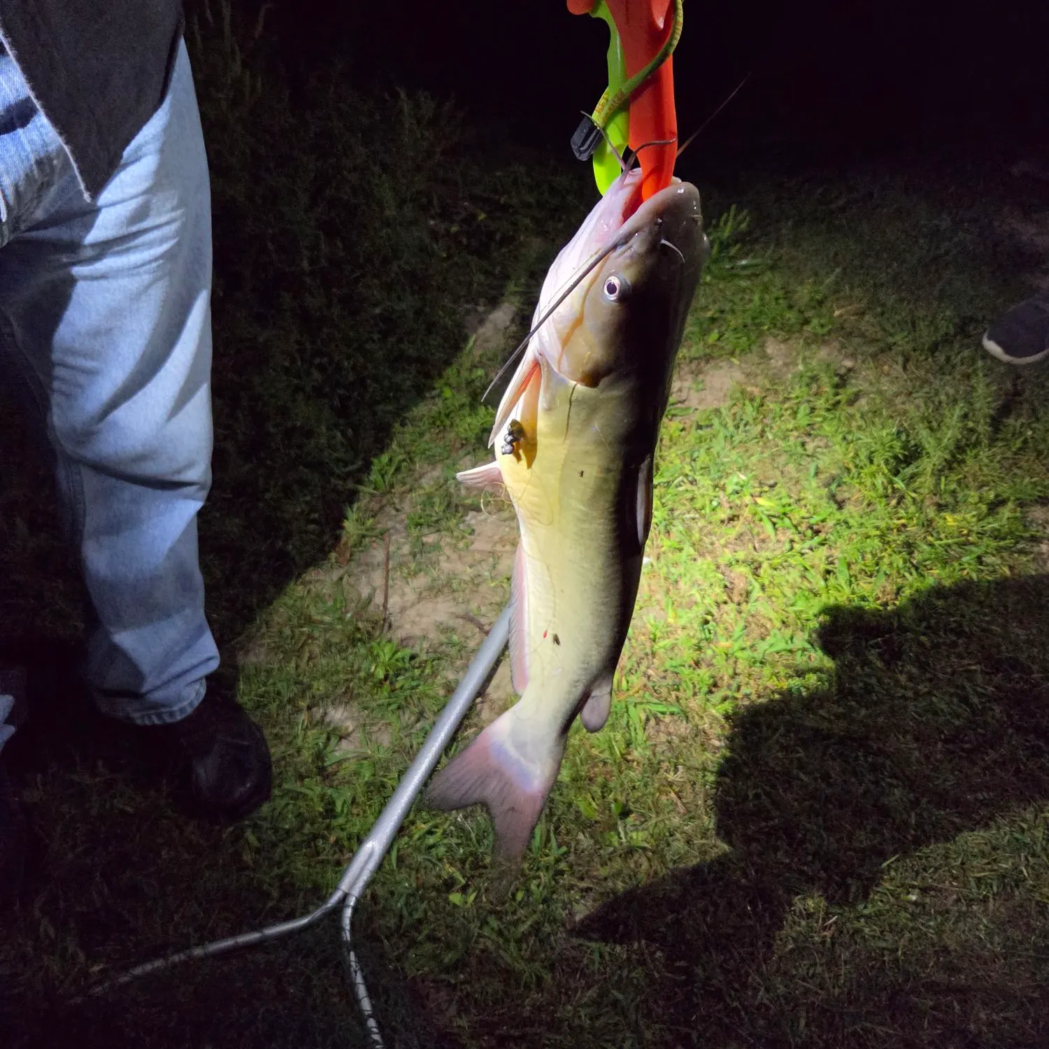 catch