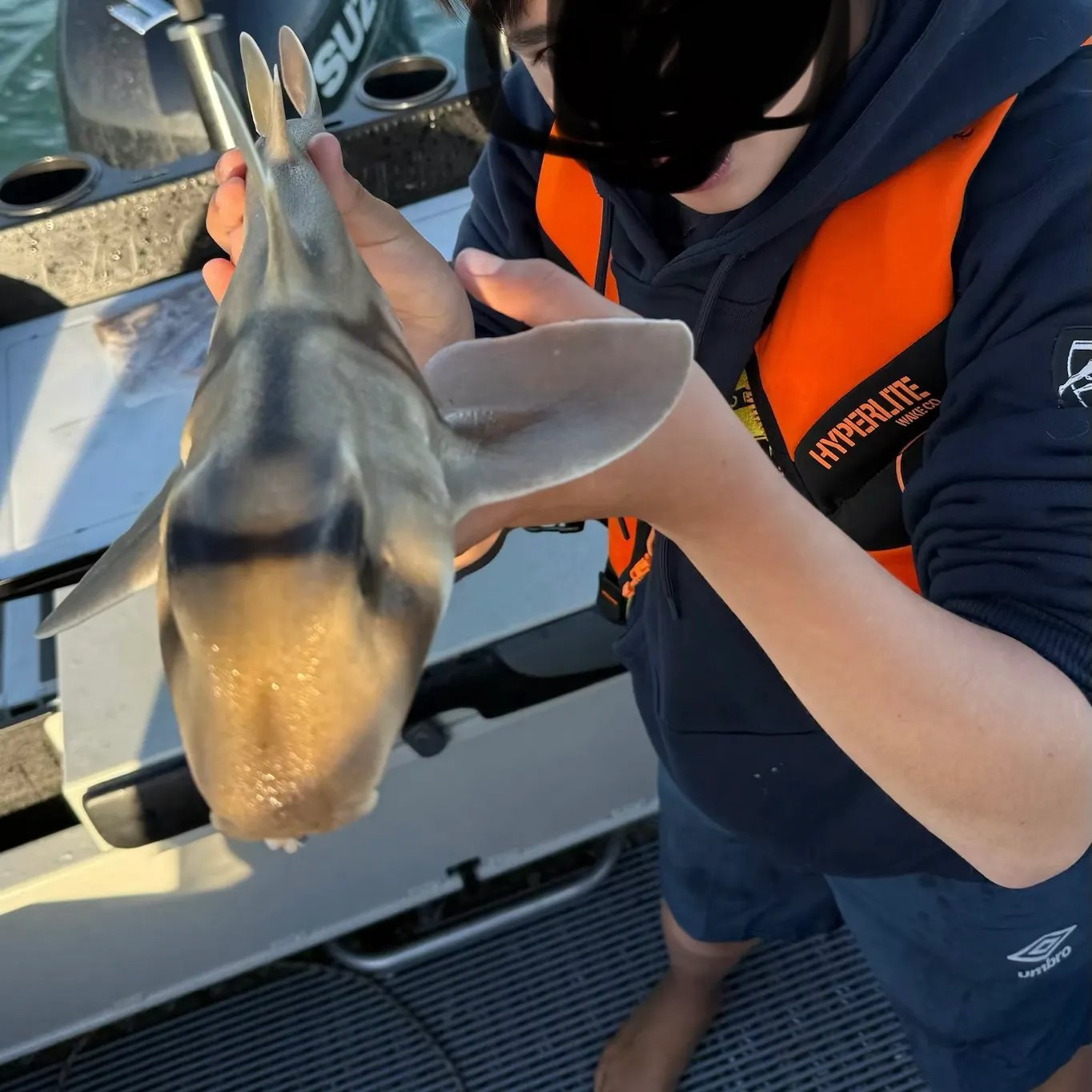 The most recent Port Jackson shark catches on Fishbrain