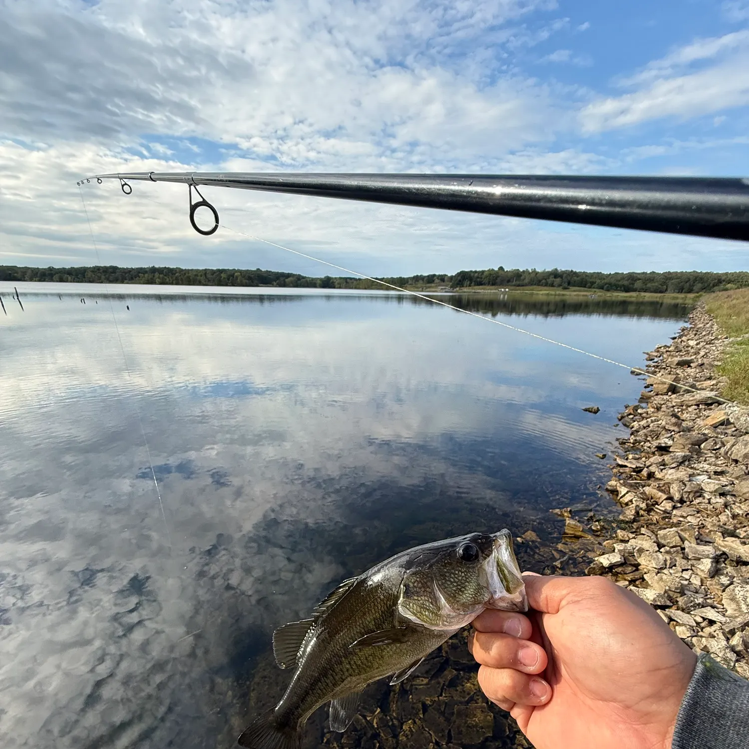 Largemouth bass caught on Fishbrain