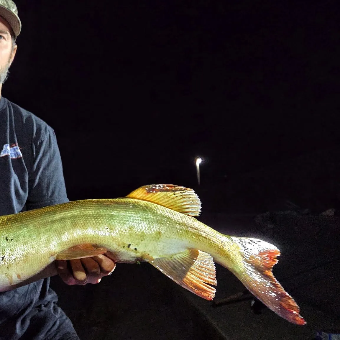 Muskie caught on Fishbrain