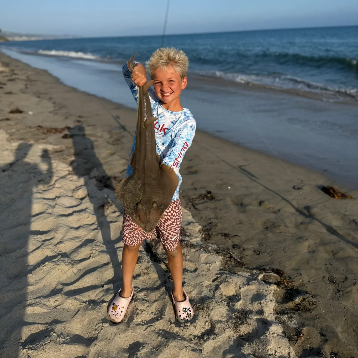 The most recent Pacific shovelnose guitarfish catches on Fishbrain