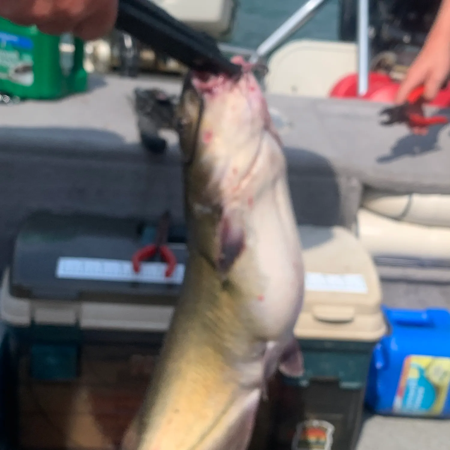 catch