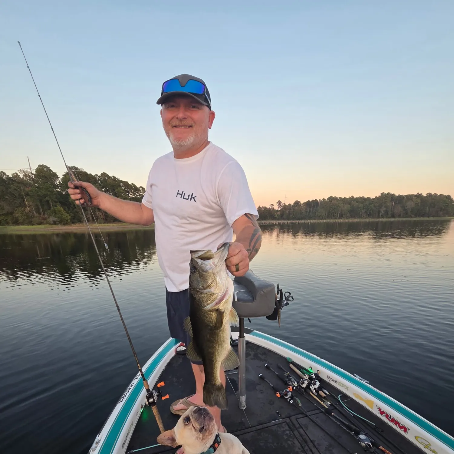 Largemouth bass caught on Fishbrain