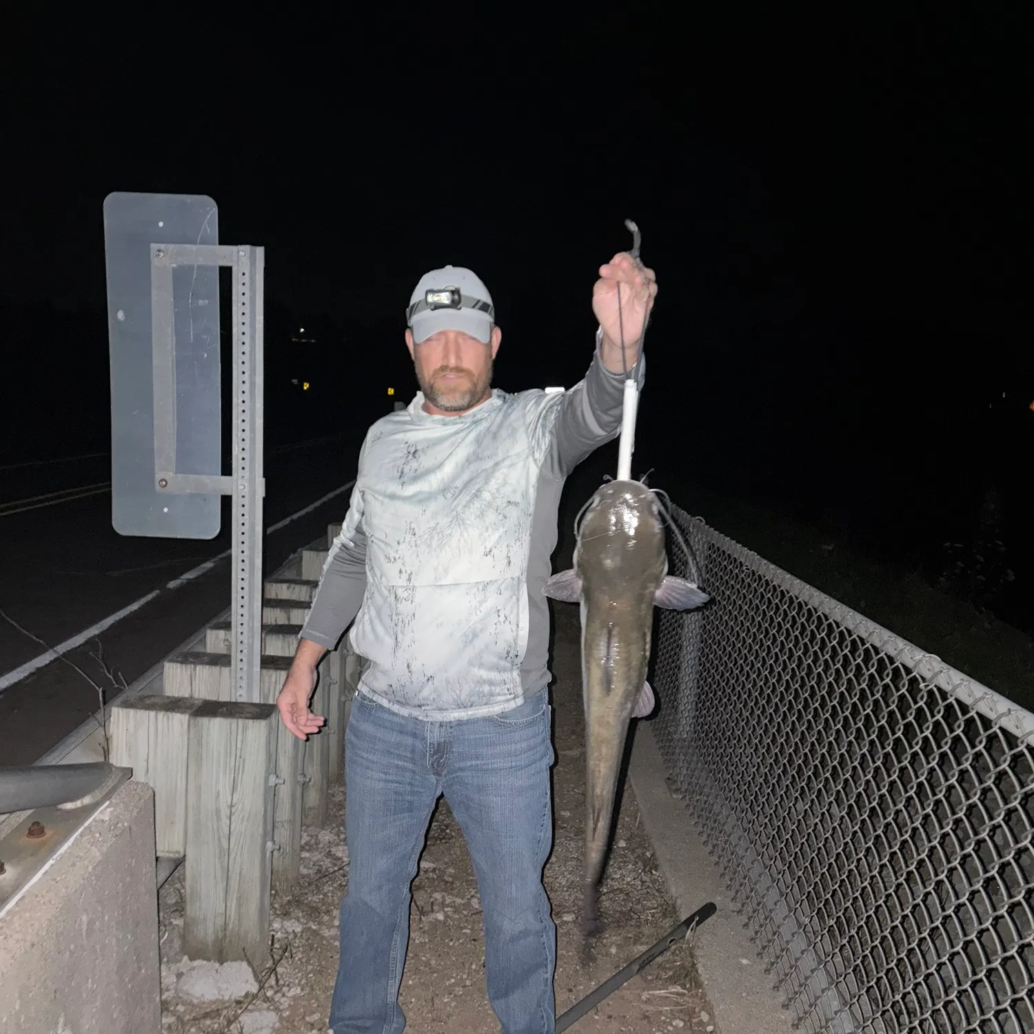 Channel catfish caught on Fishbrain