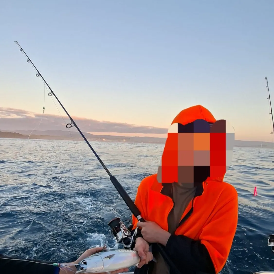 The most recent Kawakawa catches on Fishbrain