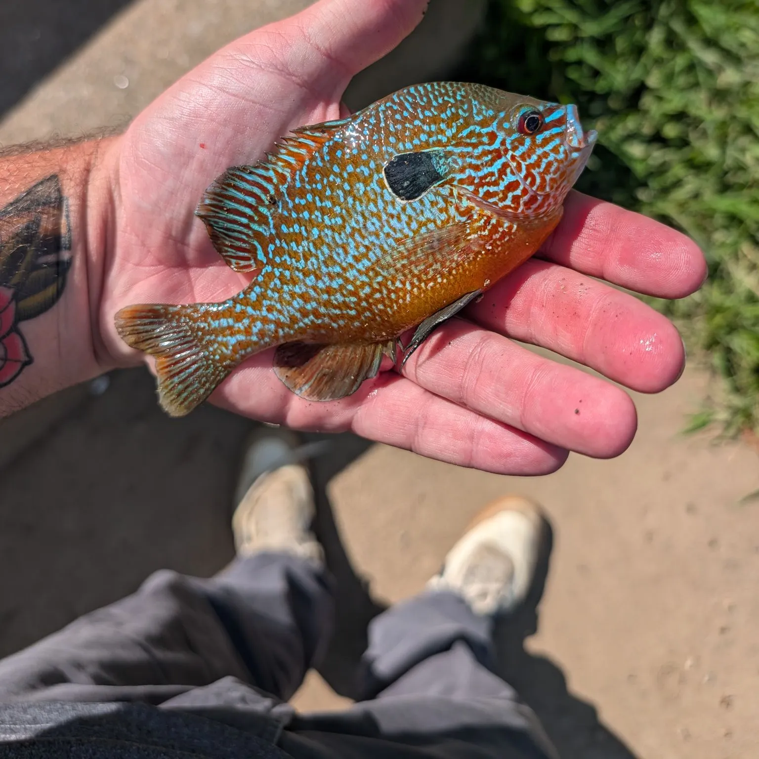 catch