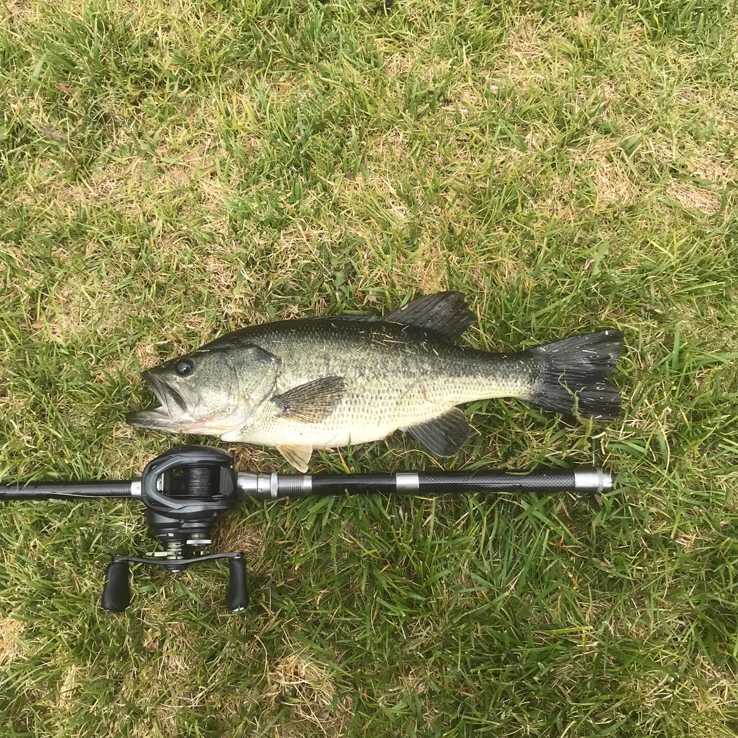 angler catch