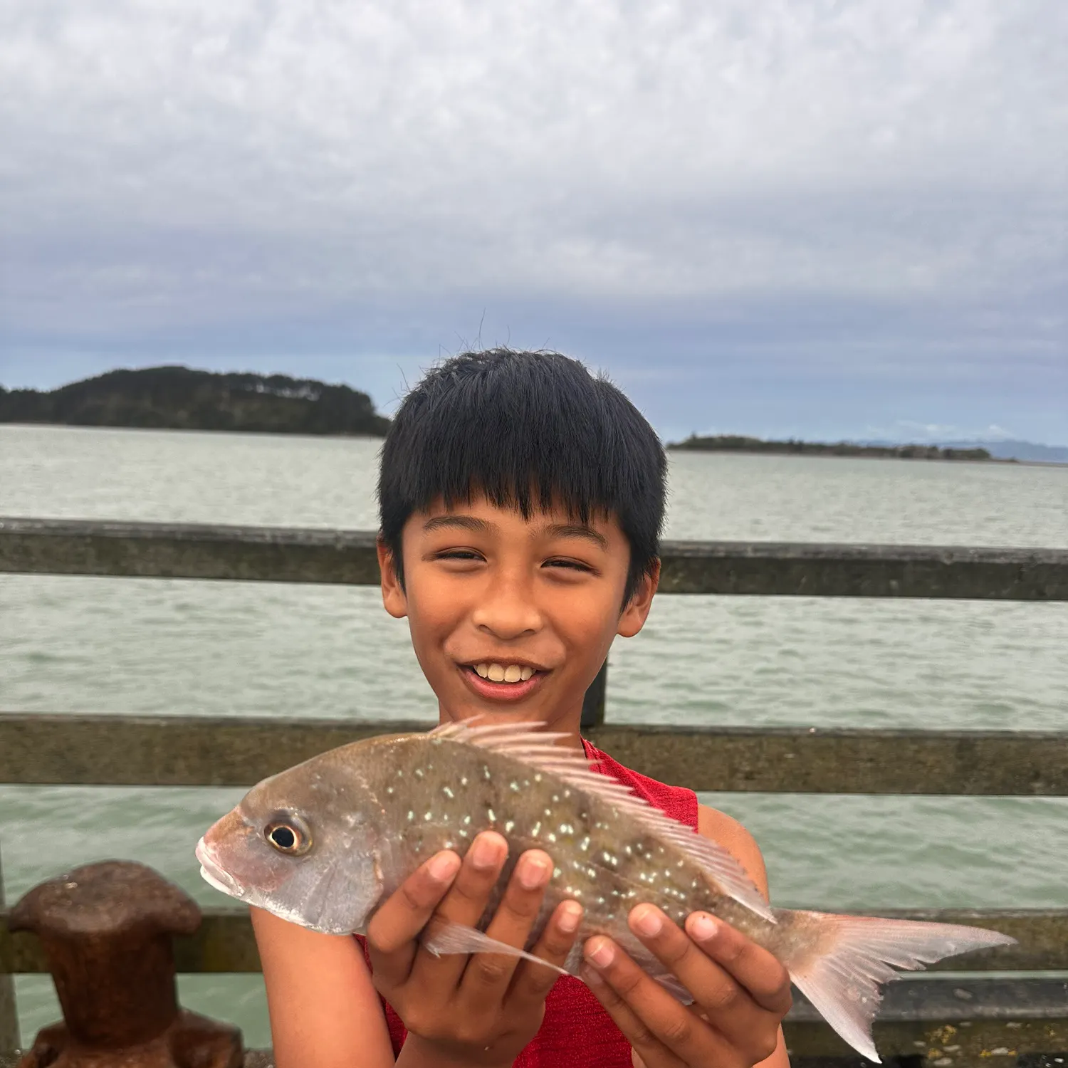 The most recent Australasian snapper catches on Fishbrain