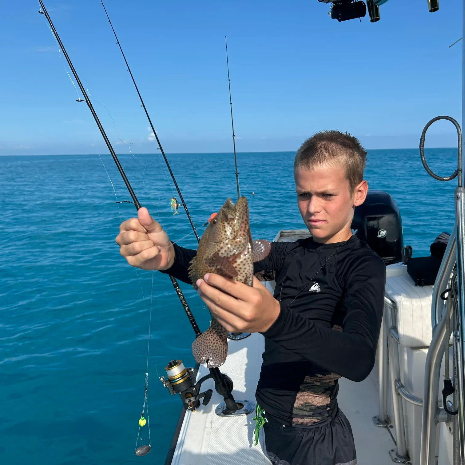 The most recent Areolate grouper catches on Fishbrain