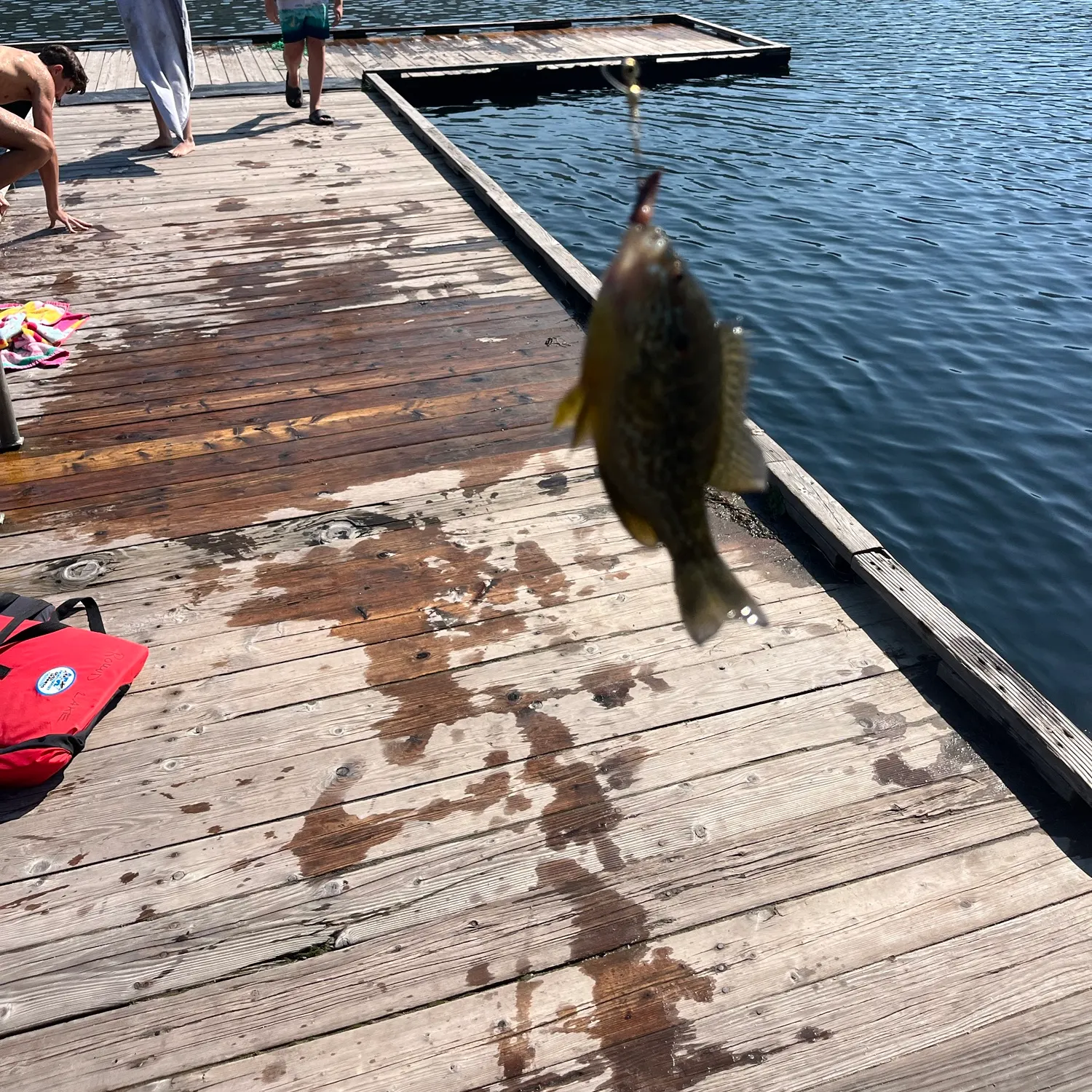 catch