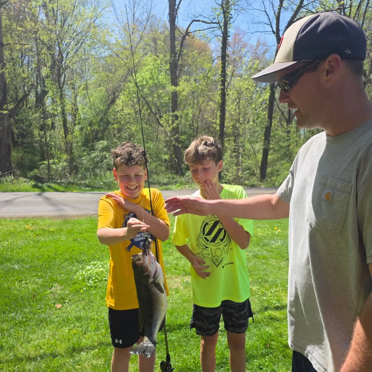 Largemouth bass caught on Fishbrain