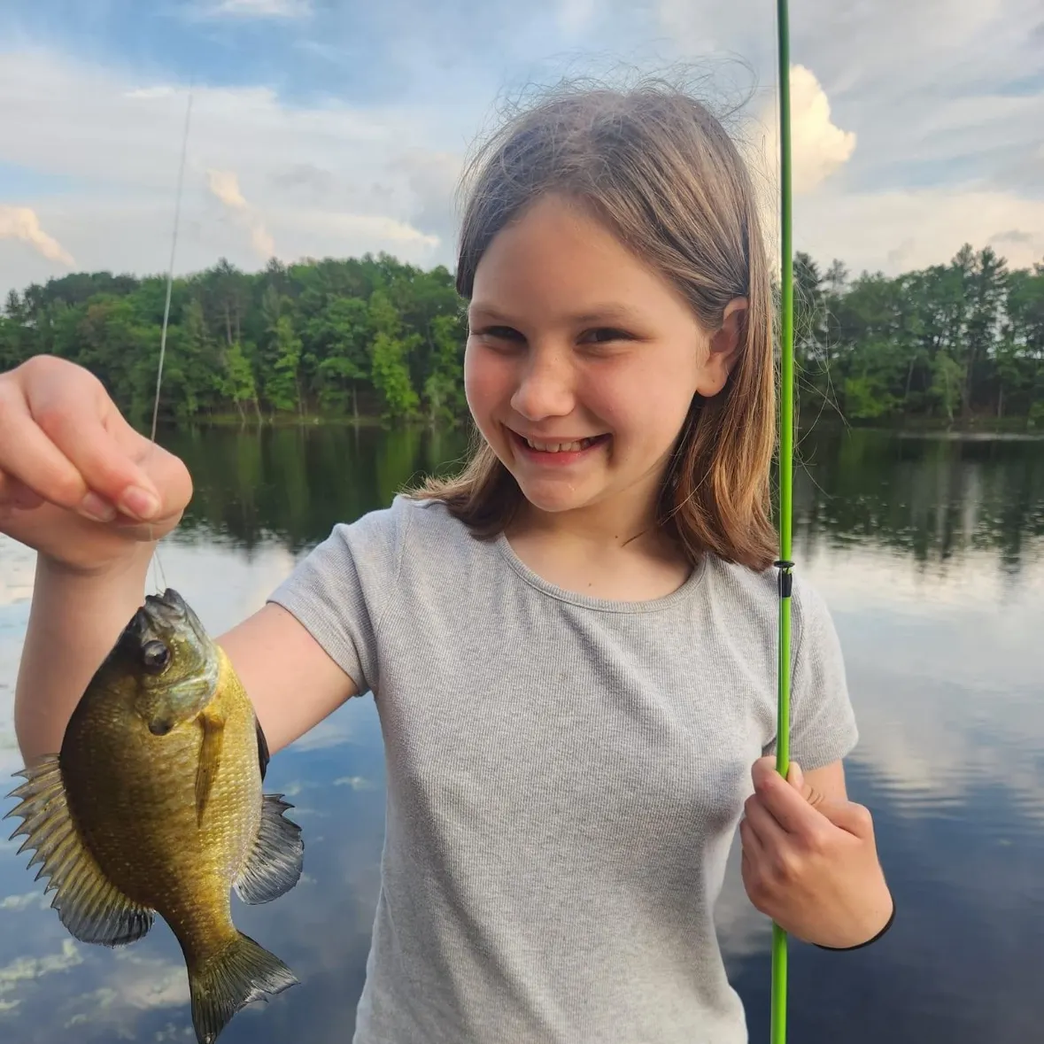 Bluegill caught on Fishbrain