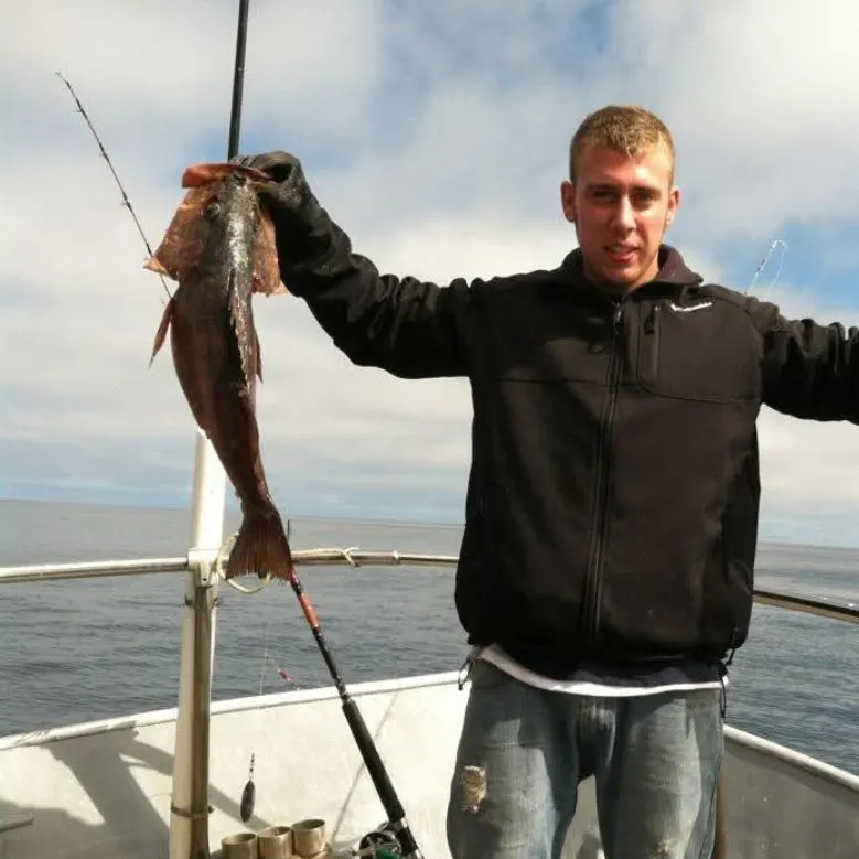 The most recent Redstripe rockfish catches on Fishbrain