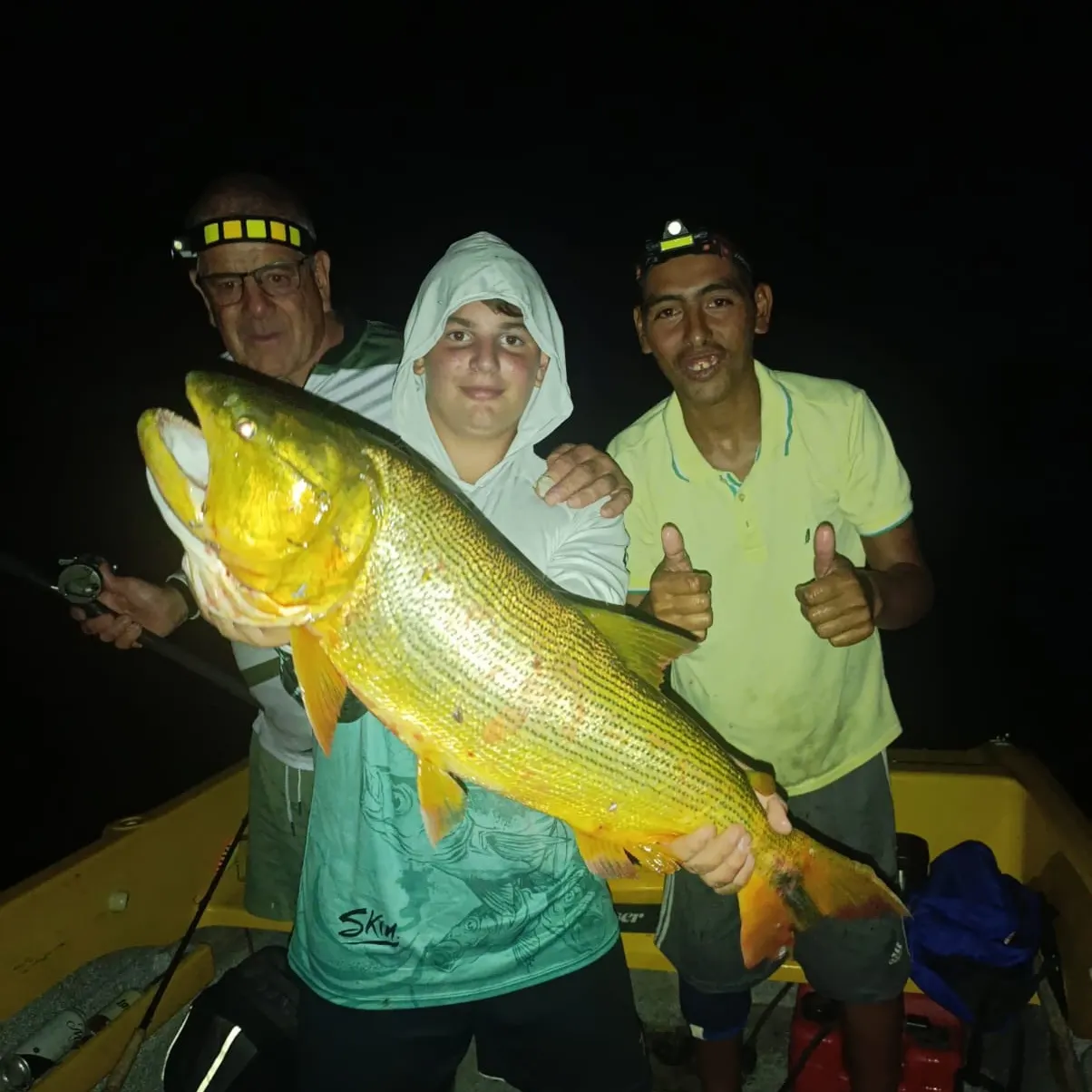 The most recent Golden dorado catches on Fishbrain