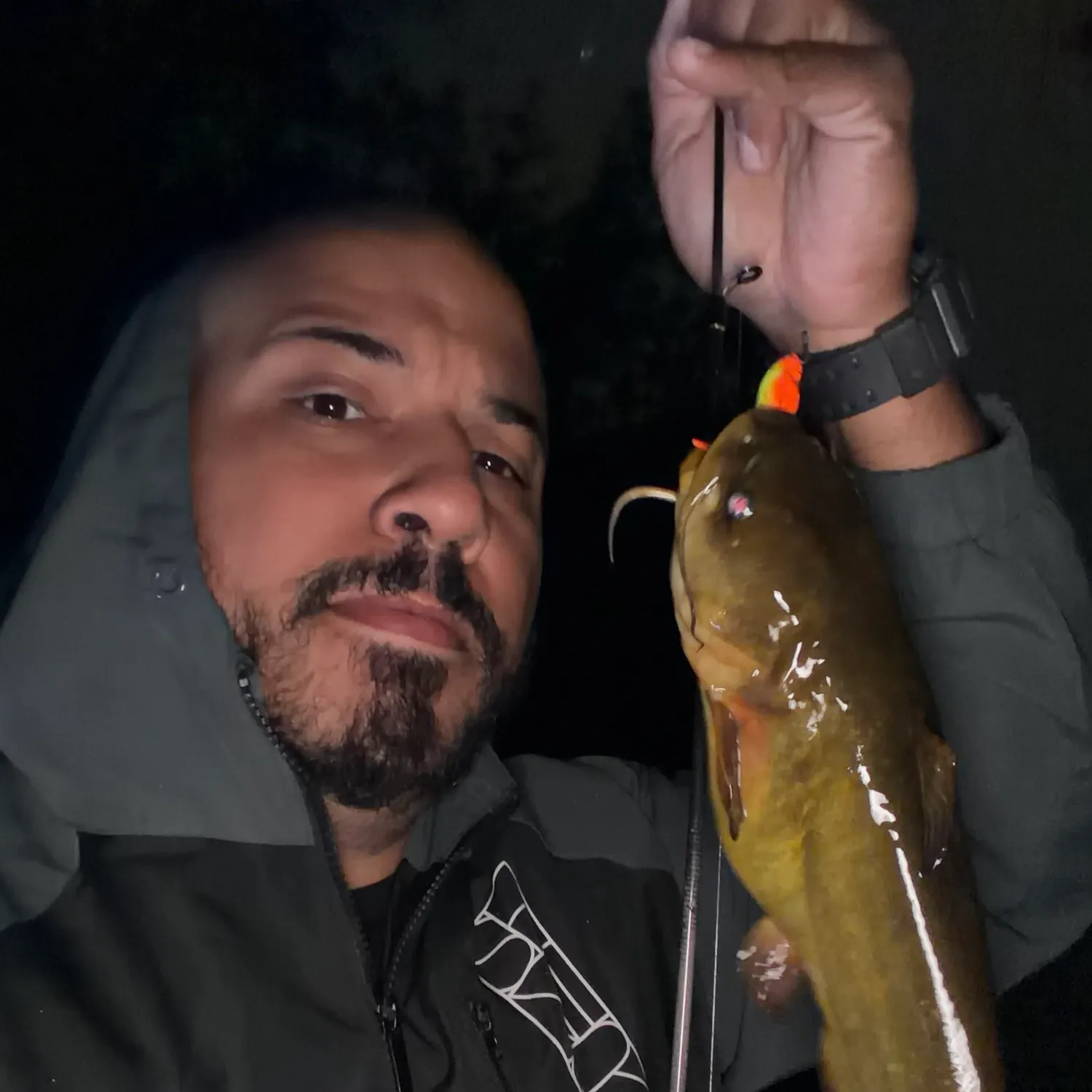 Black bullhead caught on Fishbrain