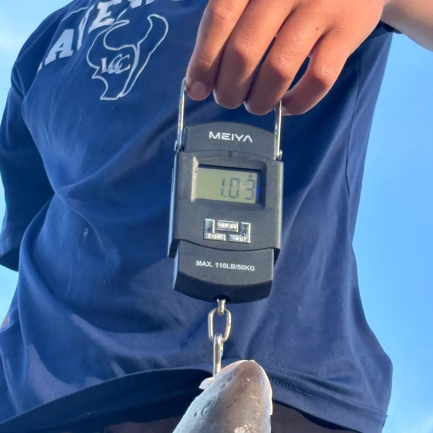 The most recent Yellowfin croaker catches on Fishbrain