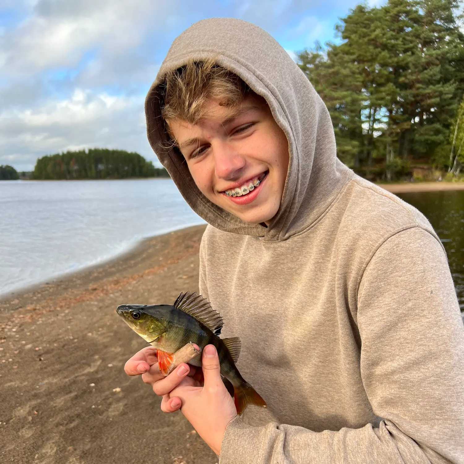 European perch caught on Fishbrain