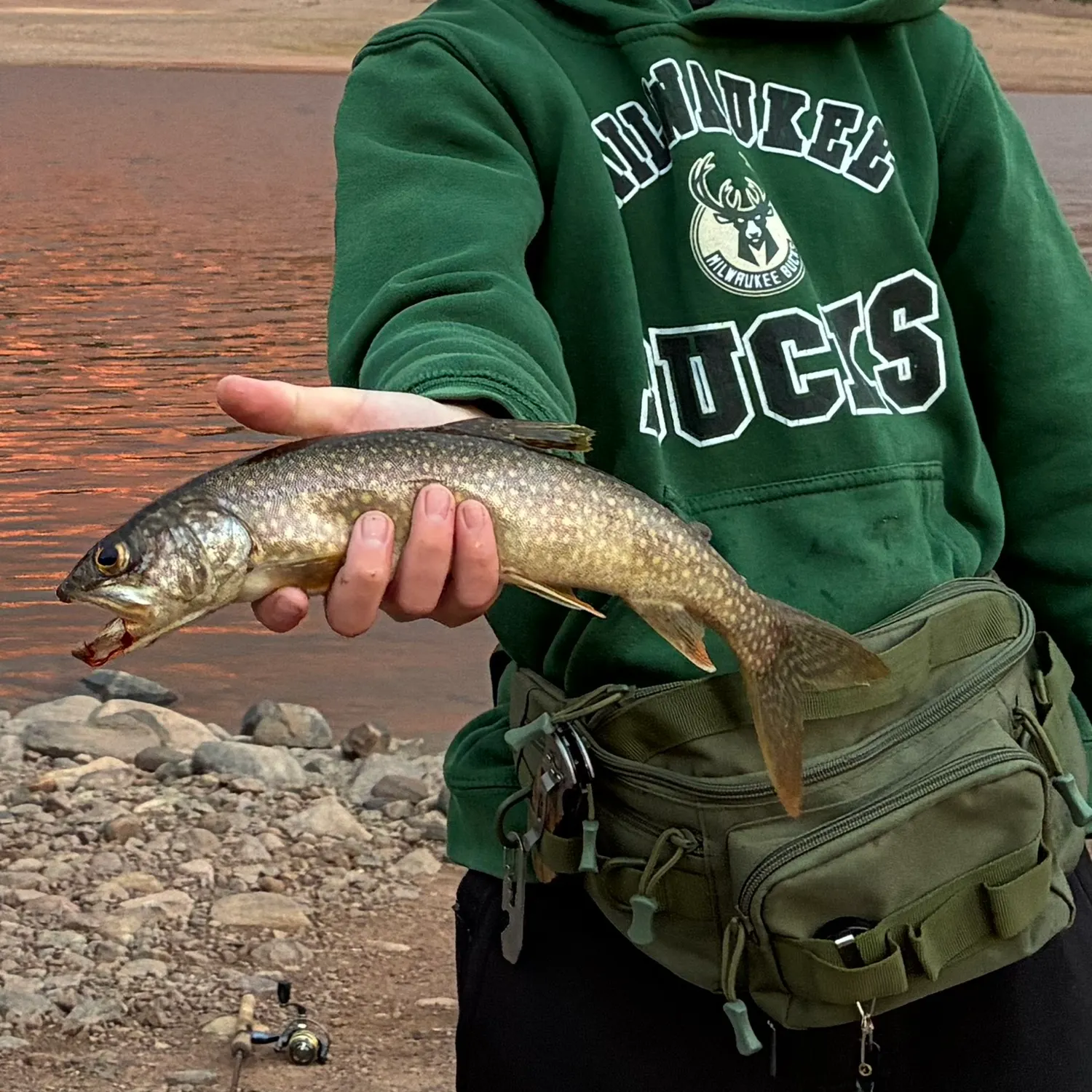 Lake char caught on Fishbrain