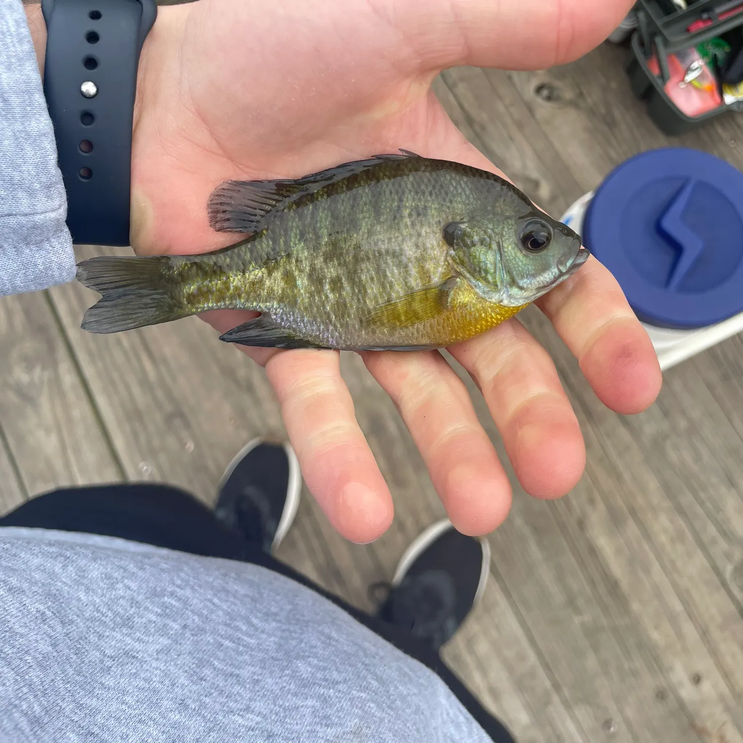 catch