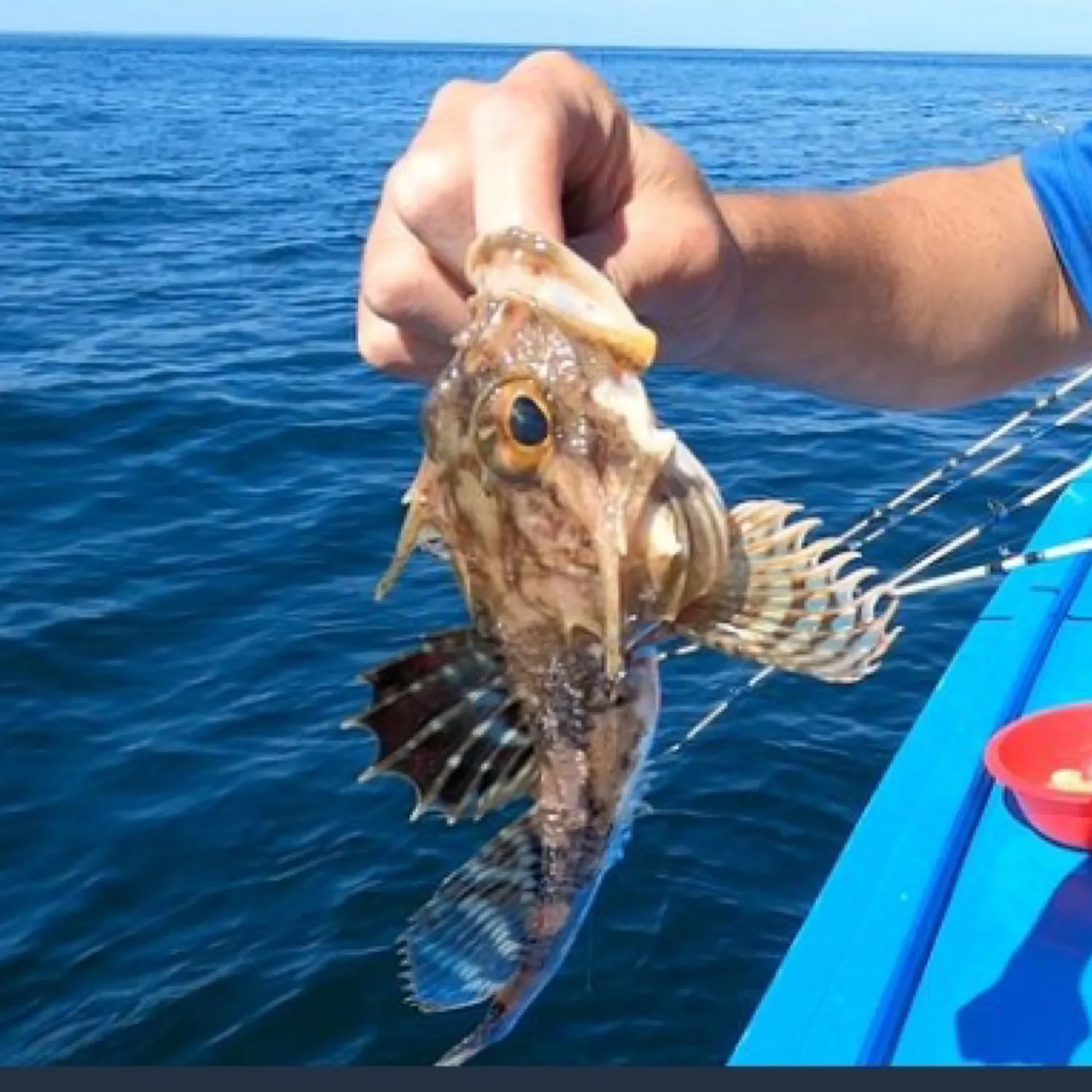 most liked catch image