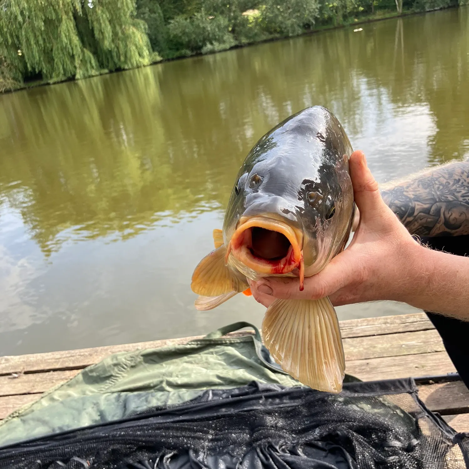 catch