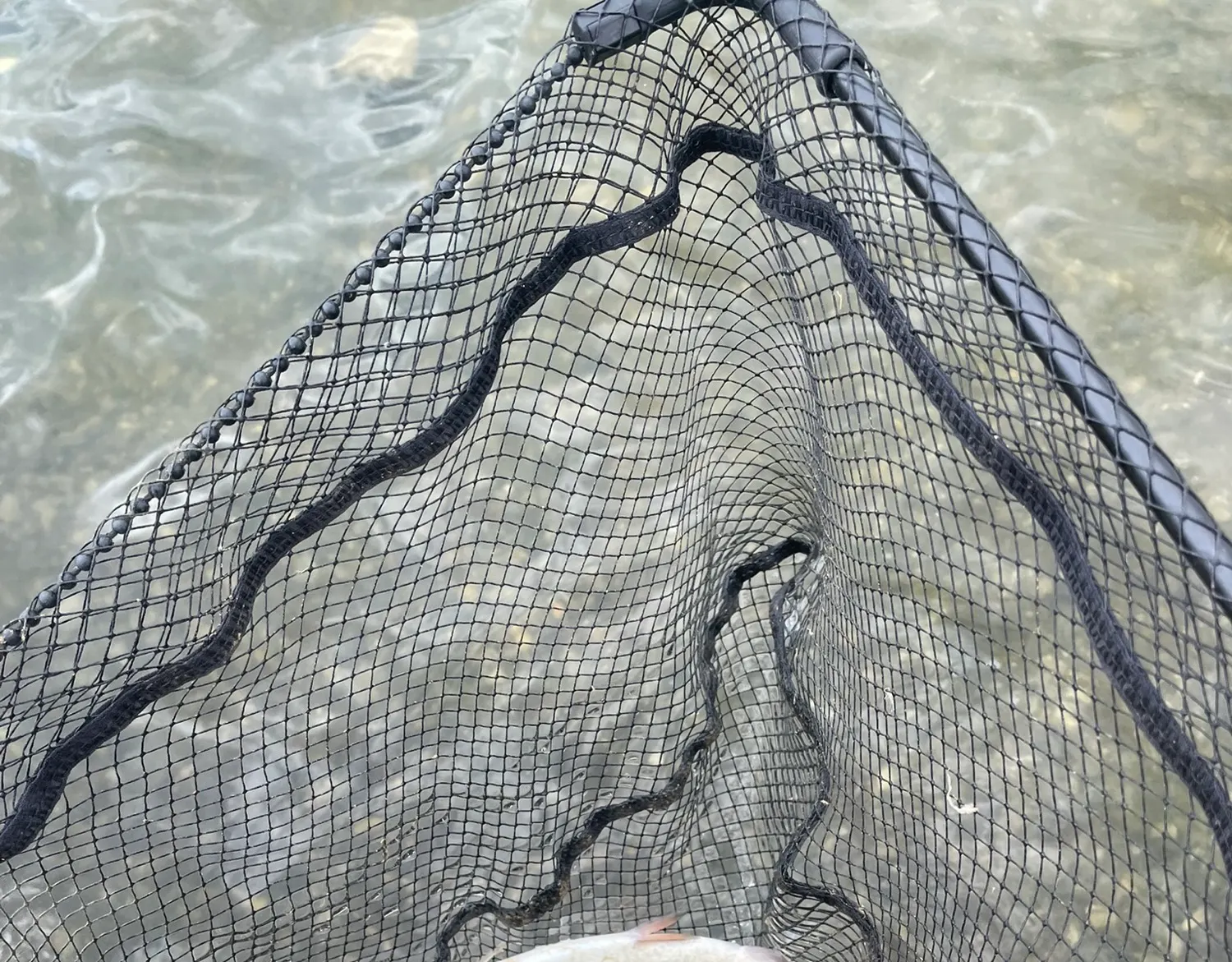 catch in map area