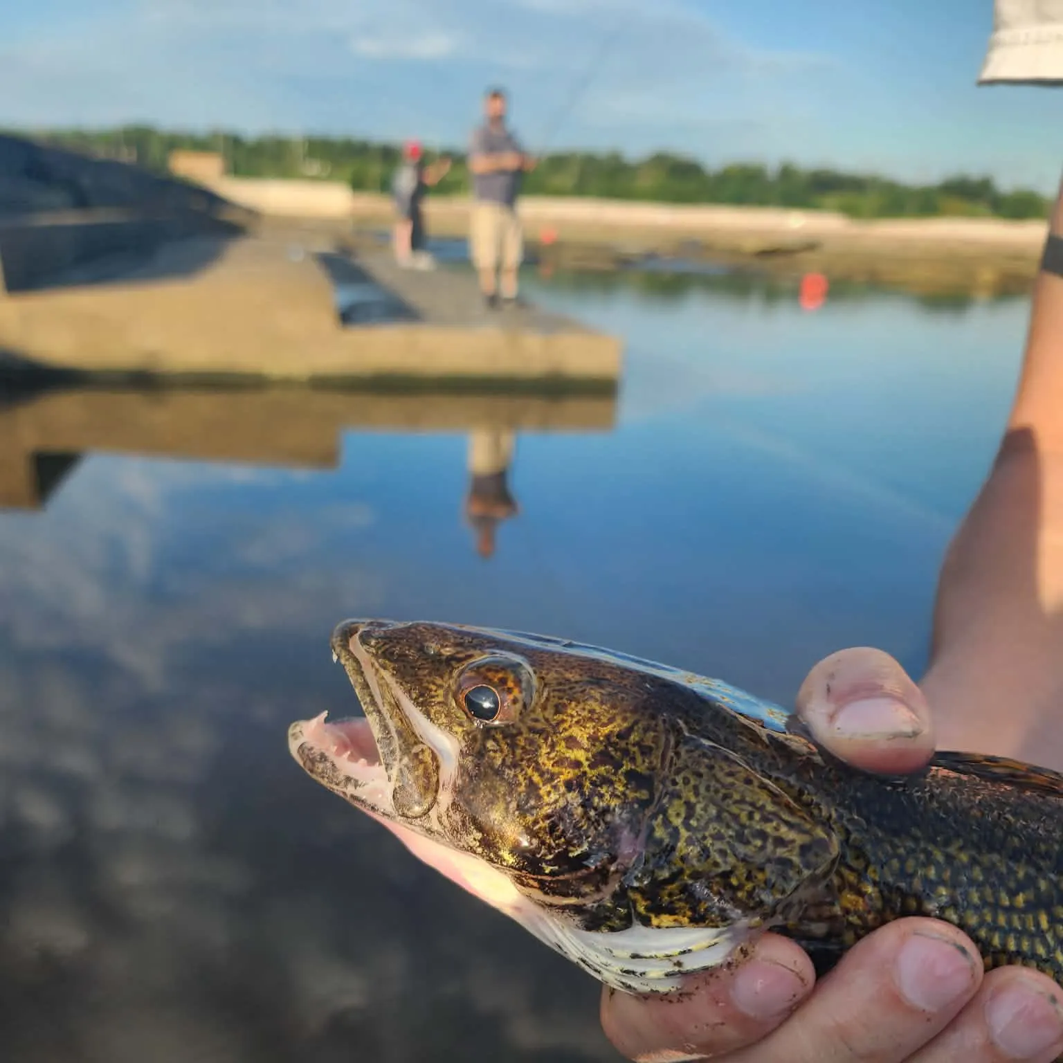catch